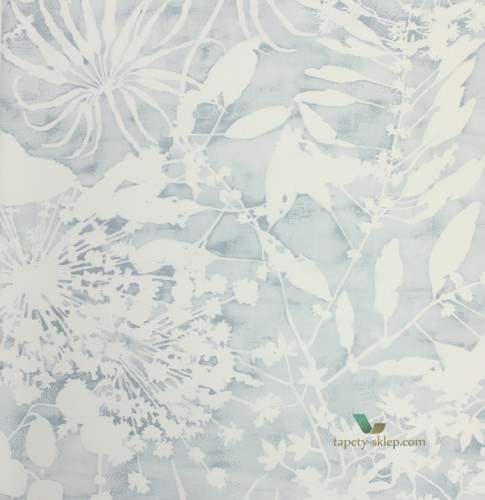 Tapeta Harlequin 111637 Coralline Anthozoa