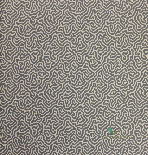 Tapeta Cole & Son 107/4017 Vermicelli Curio
