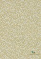 Tapeta 111868 Coral Anthology 05