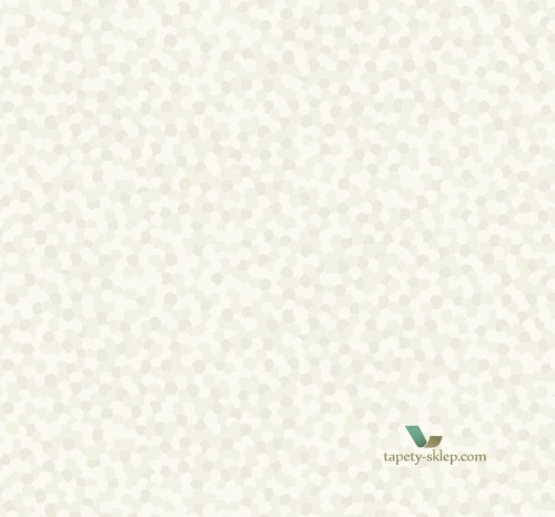 Tapeta BW21711 Black & White