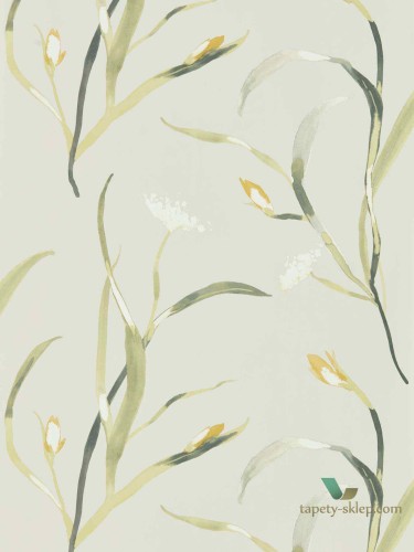 Tapeta Harlequin 111757 Saona Zapara