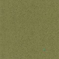 Tapeta Designers Guild PDG1042/11 Boro Casablanca