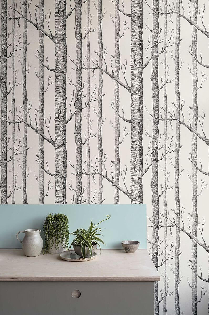 Tapeta w brzozy 69/12147 Woods Cole & Son The Contemporary Selection