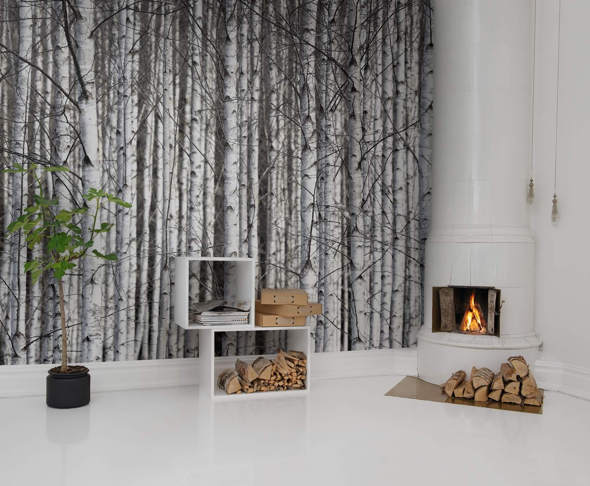 Fototapeta na wymiar w brzozy aranżacje do skandynawskich wnętrz Rebel Walls R13031