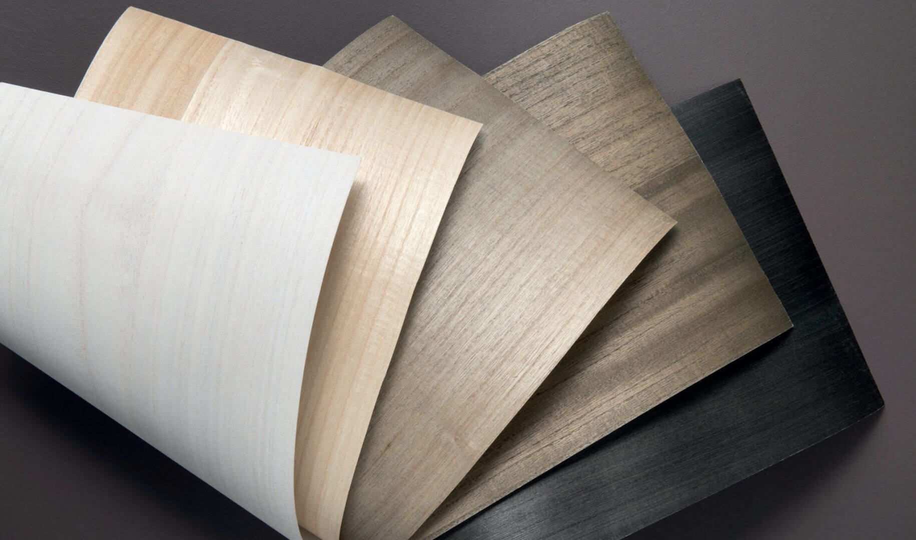 Tapeta Fornir CMO Paris Bois Blanc WBO 01 01 Wood Wallcovering