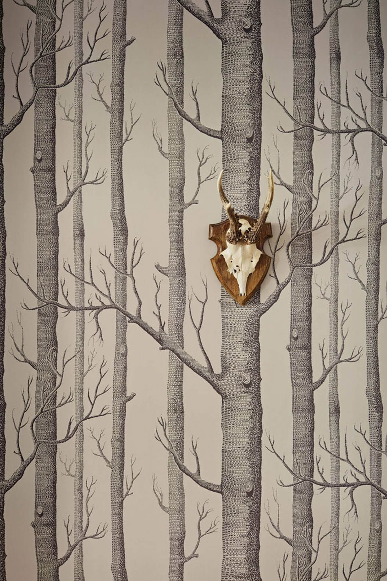 Tapeta w brzozy i gruszki aranżacje do skandynawskich wnętrz Cole & Son Icons 112/3009 Woods