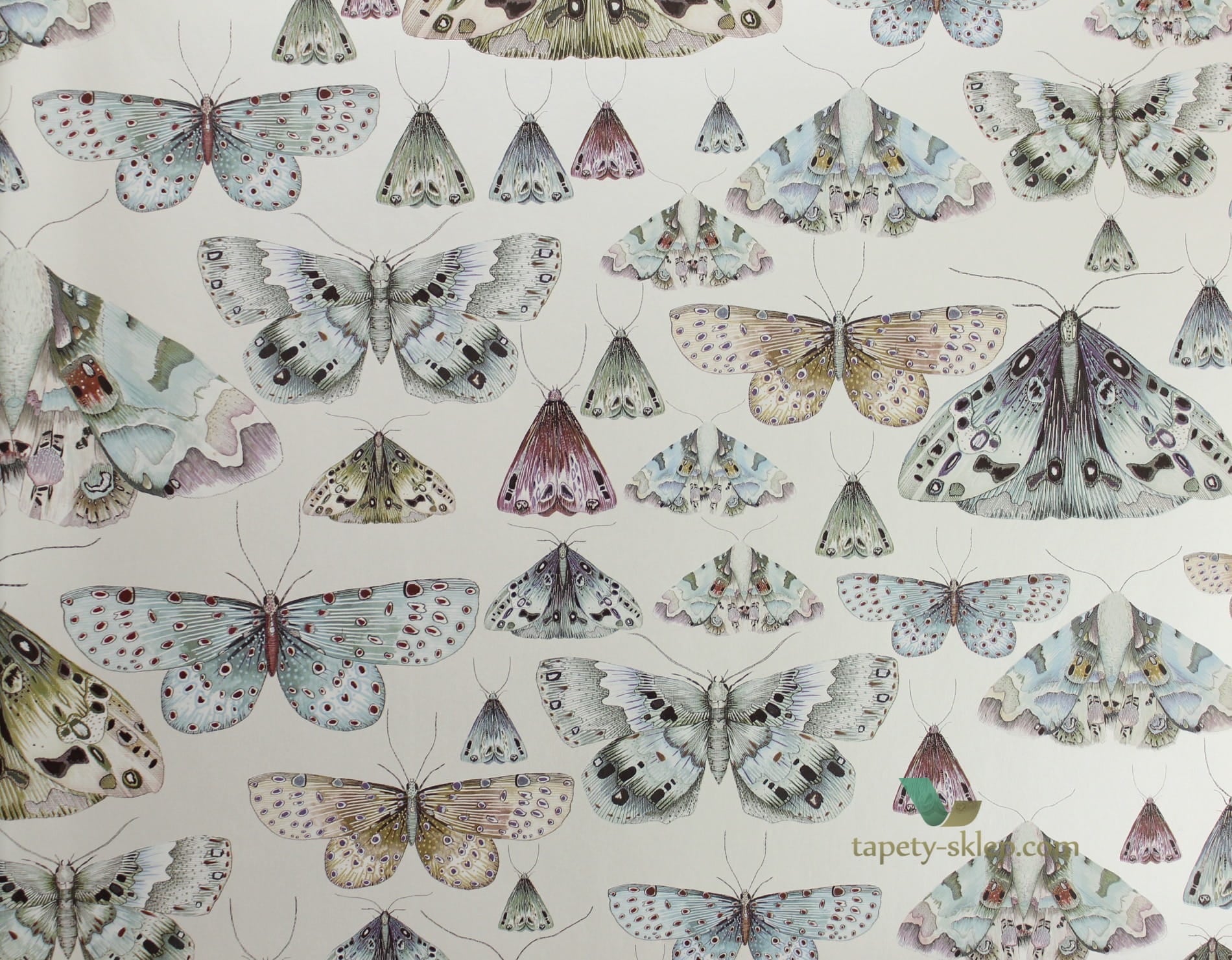 Tapeta Designers Guild PDG713/04 Jardin des plantes
