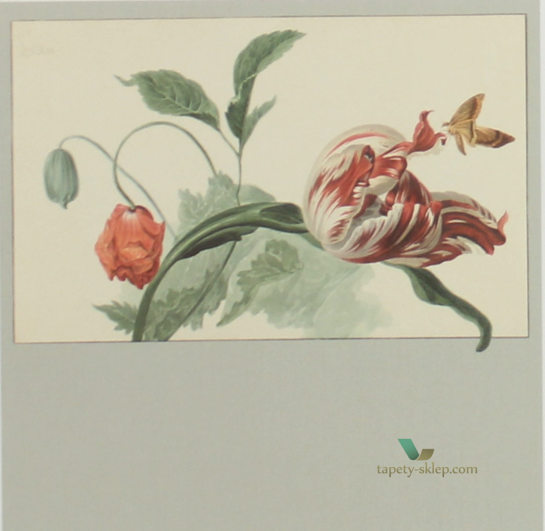 Fototapeta Eijffinger 358119 Masterpiece