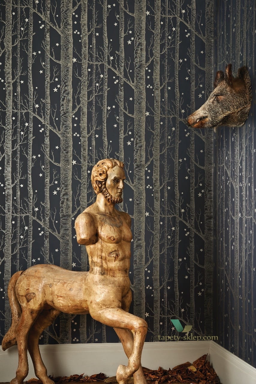 Tapeta Drzewa i Gwiazdki Cole & Son 103/11051 Woods & Stars Whimsical