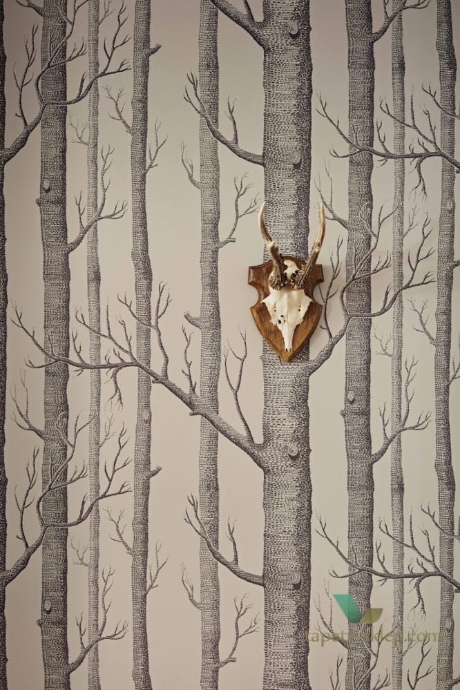Tapeta Cole & Son Icons 112/3010 Woods