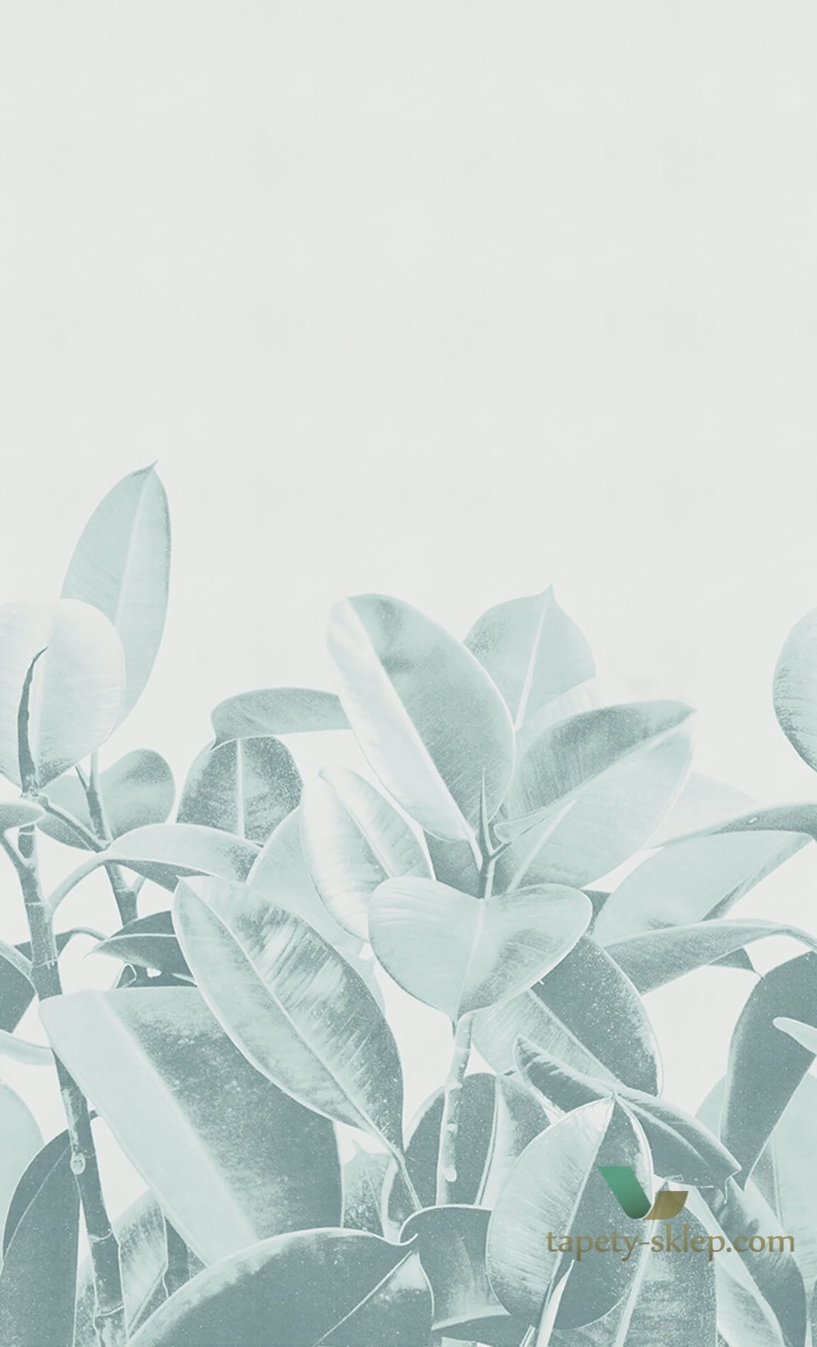 Tapeta London Art 18056 Rubber Plant