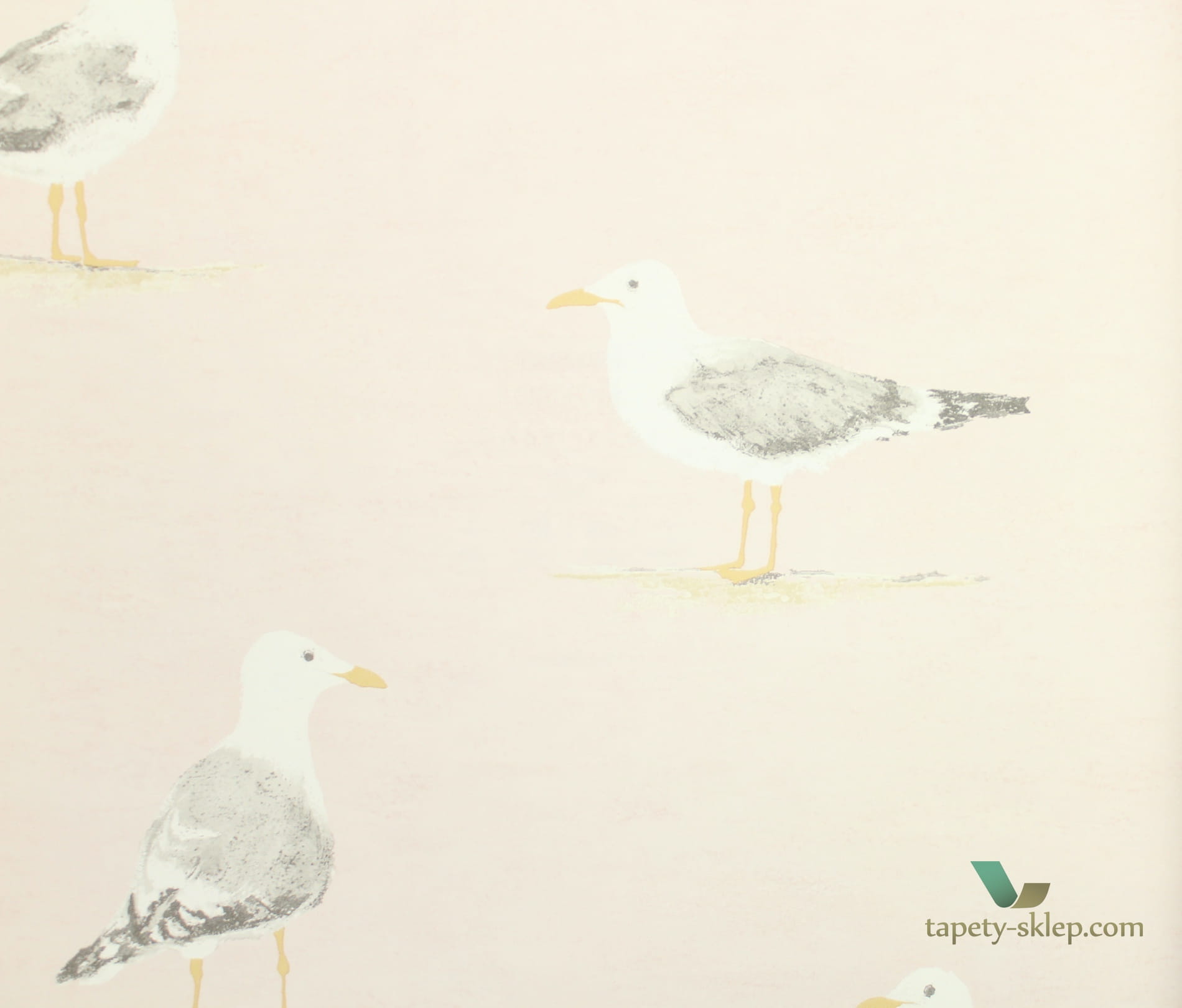 Tapeta mewy Sanderson 216562 Shore Birds Port Isaac