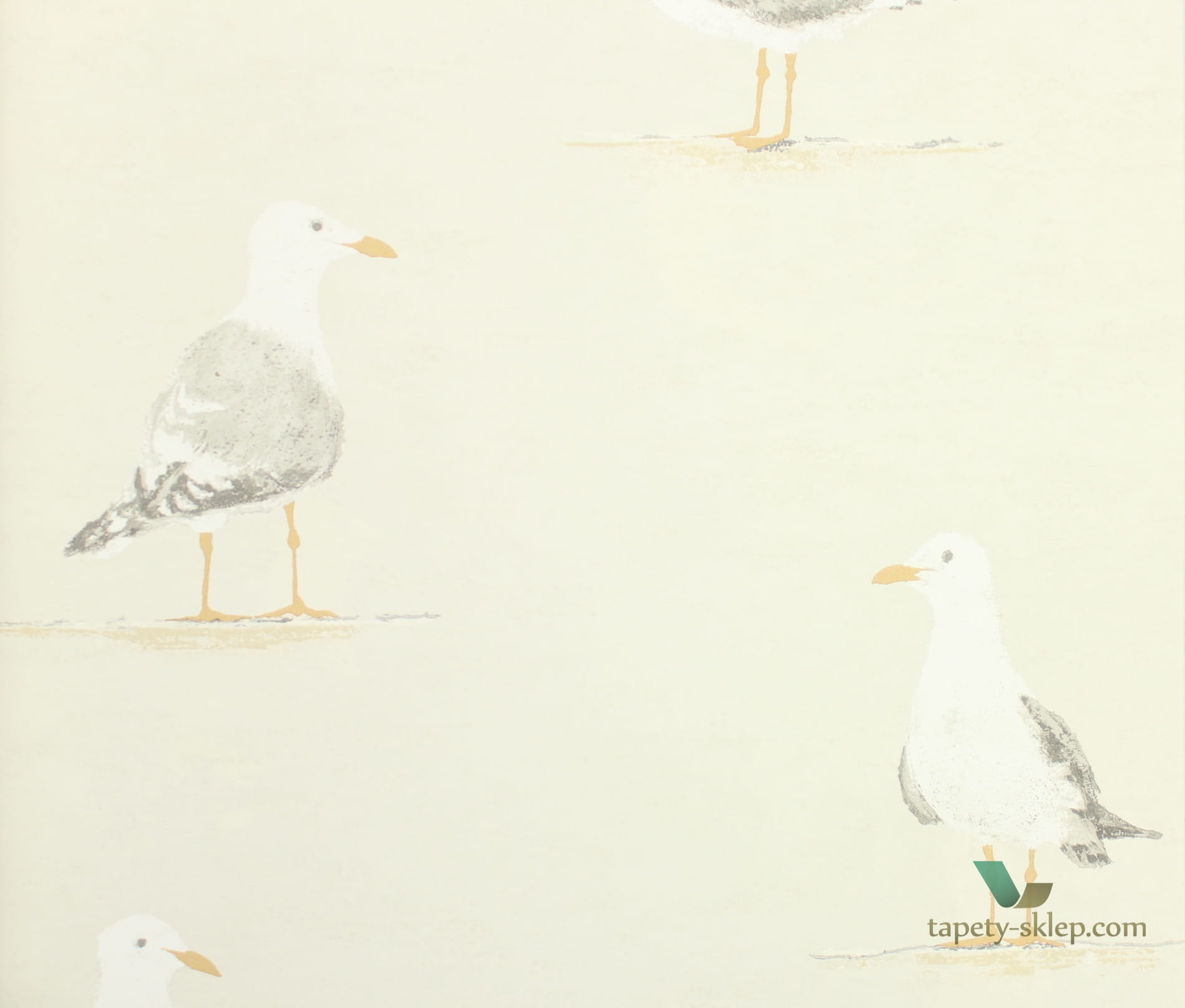 Tapeta mewy Sanderson 216563 Shore Birds Port Isaac