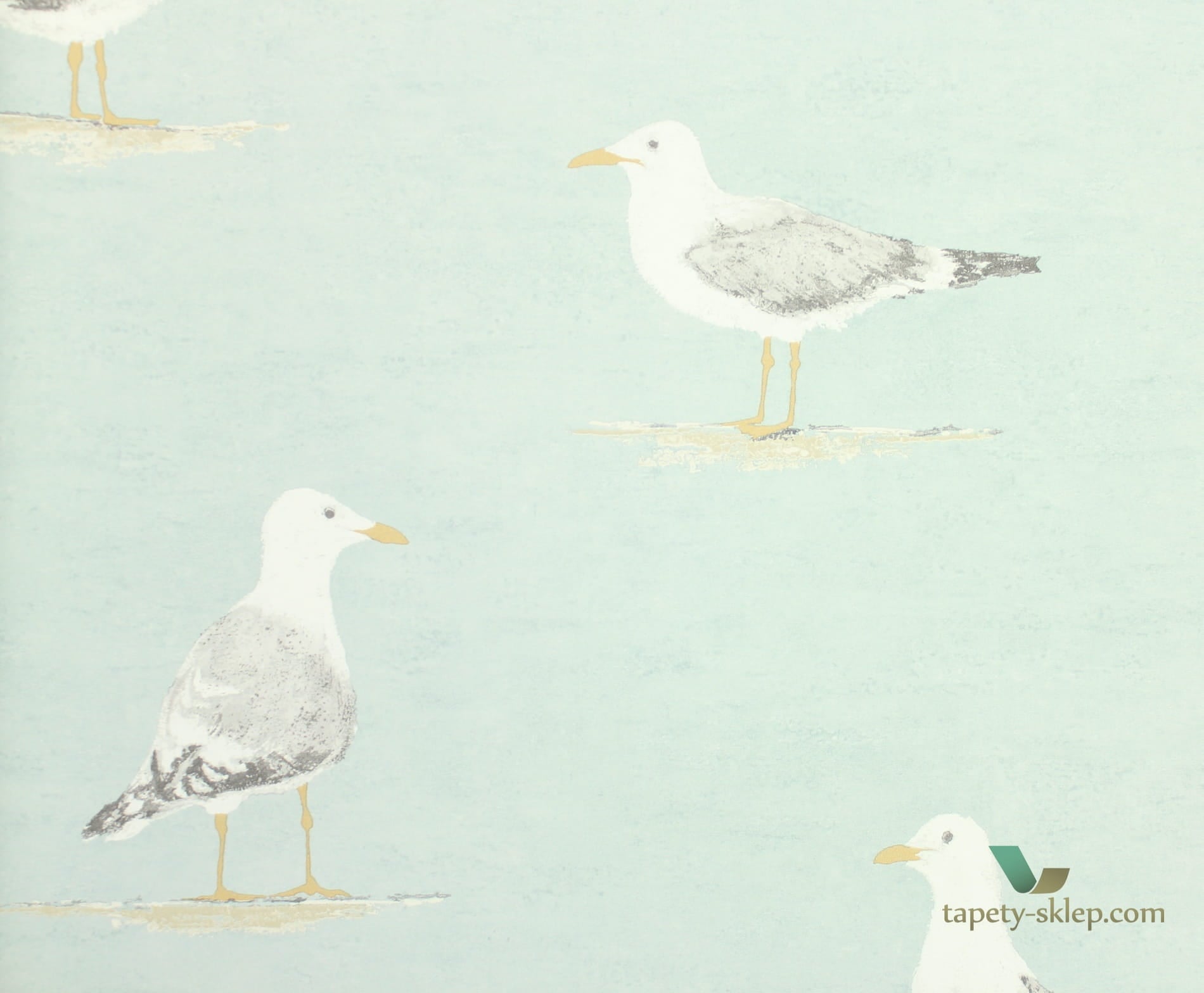 Tapeta mewy Sanderson 216564 Shore Birds Port Isaac