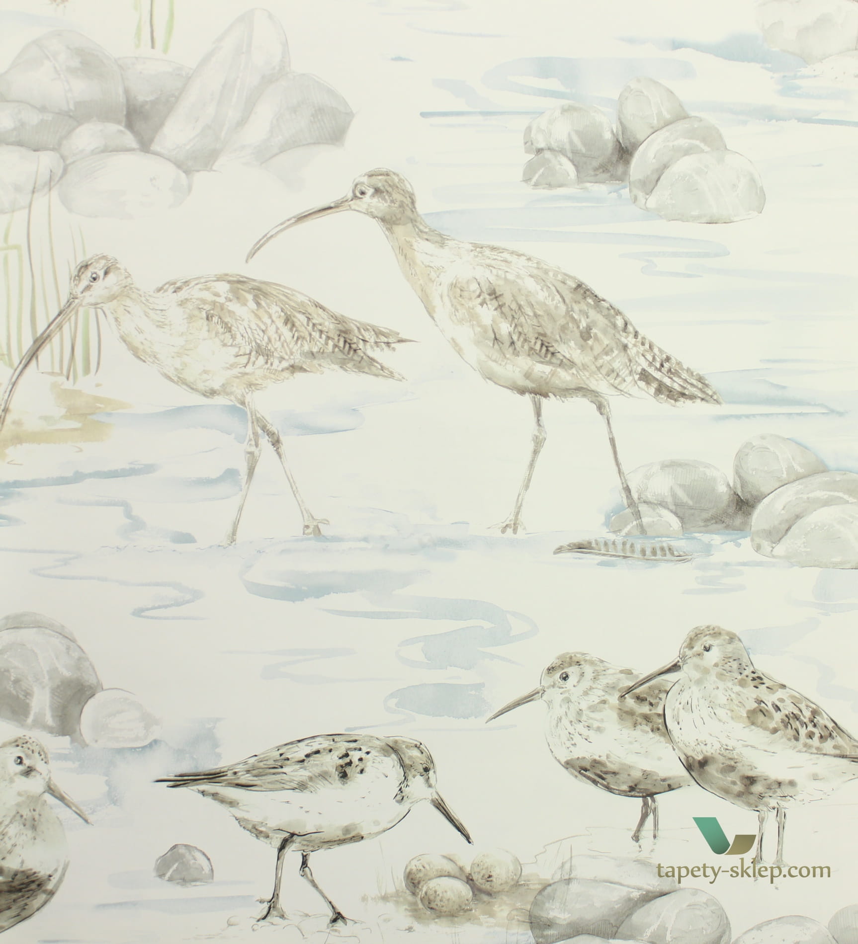 Tapeta ptaki Sanderson 216492 Estuary Birds