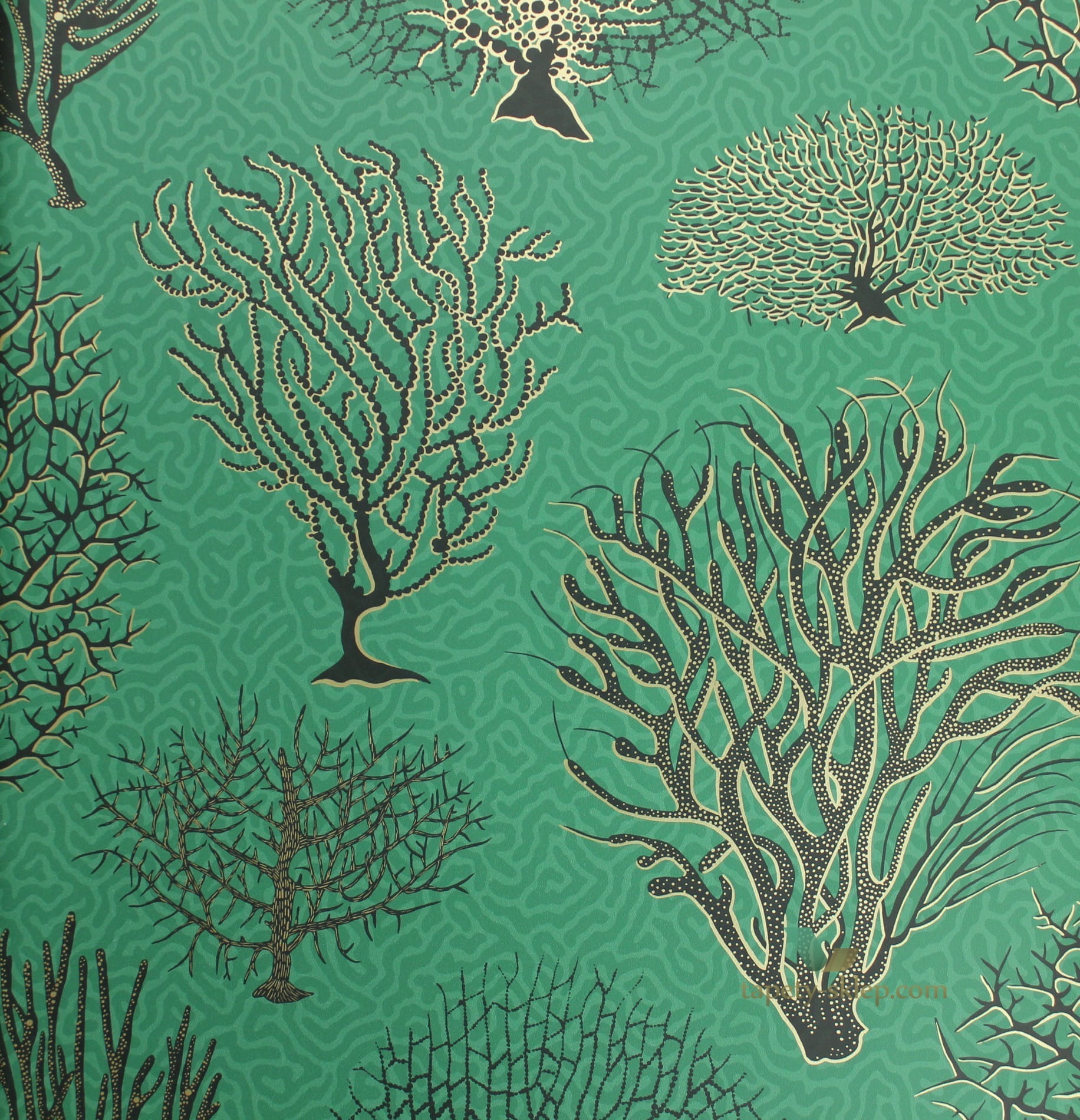 Tapeta Cole & Son 107/2007 Seafern Curio