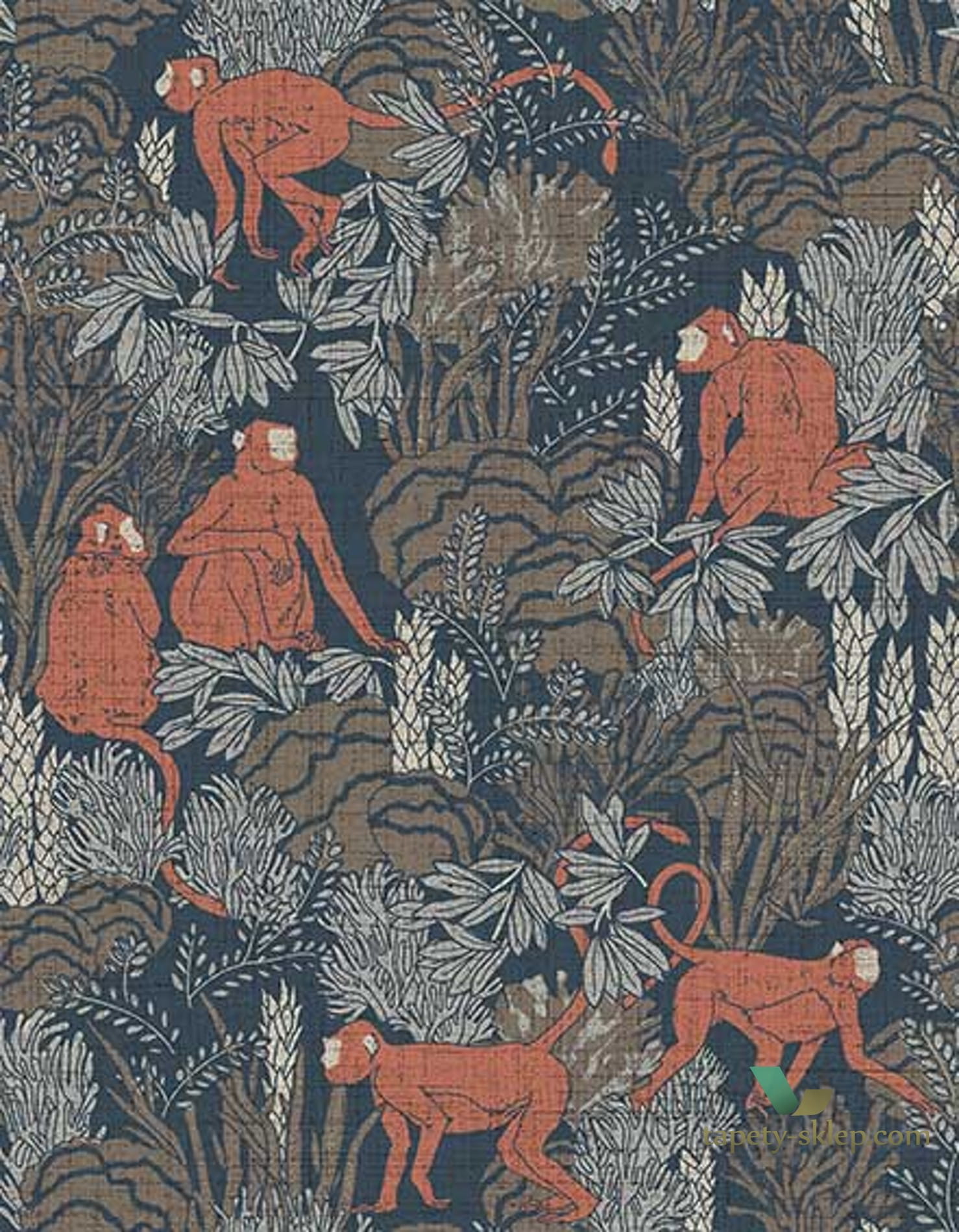 Tapeta Małpy Arte 13532 Langur Curiosa