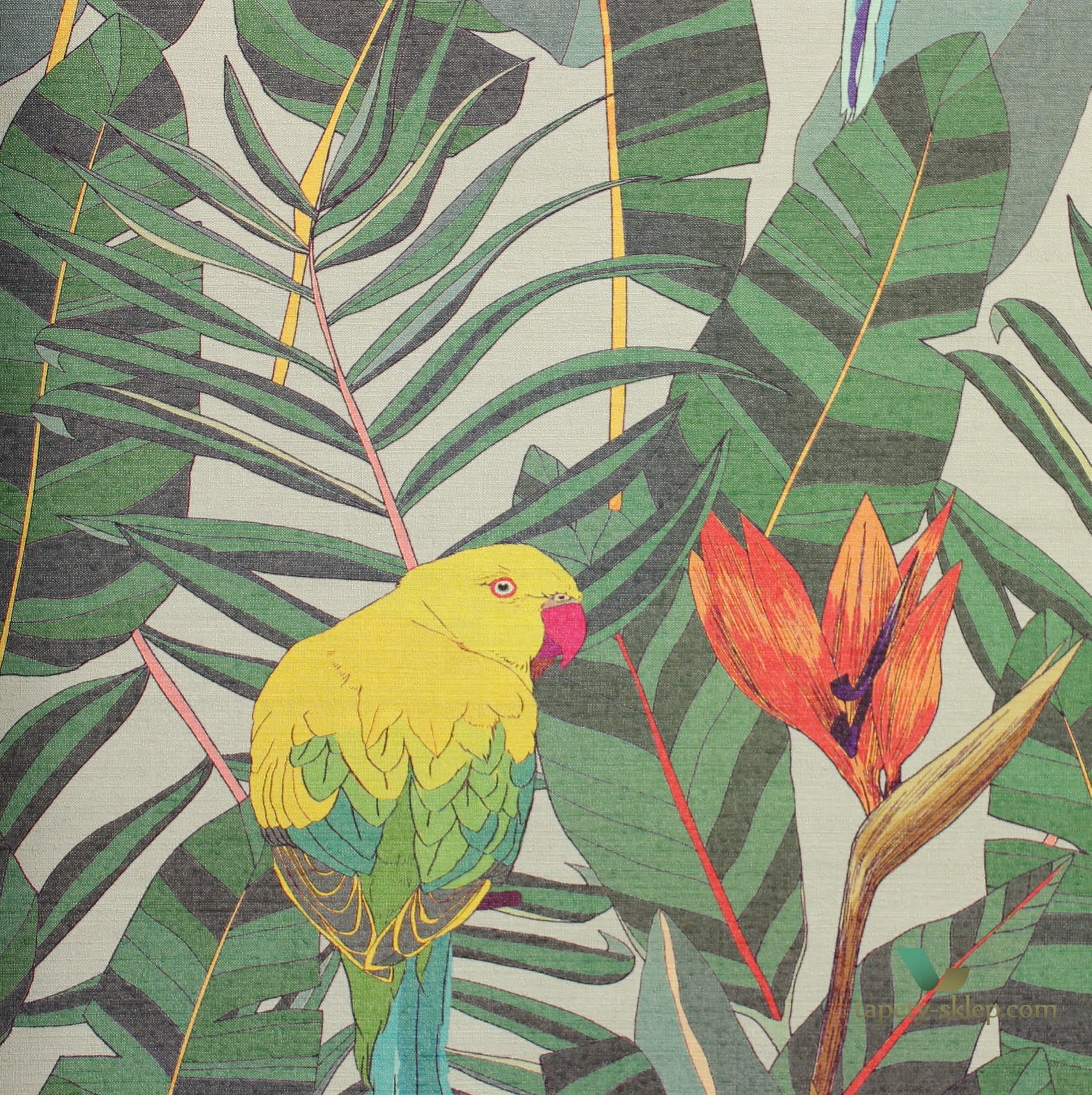 Tapeta Papugi Arte 13570 Arcadia Curiosa