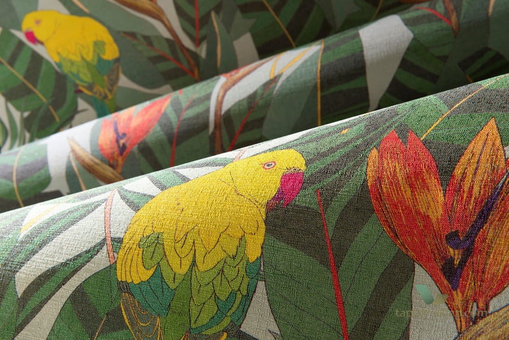 Tapeta Papugi Arte 13570 Arcadia Curiosa