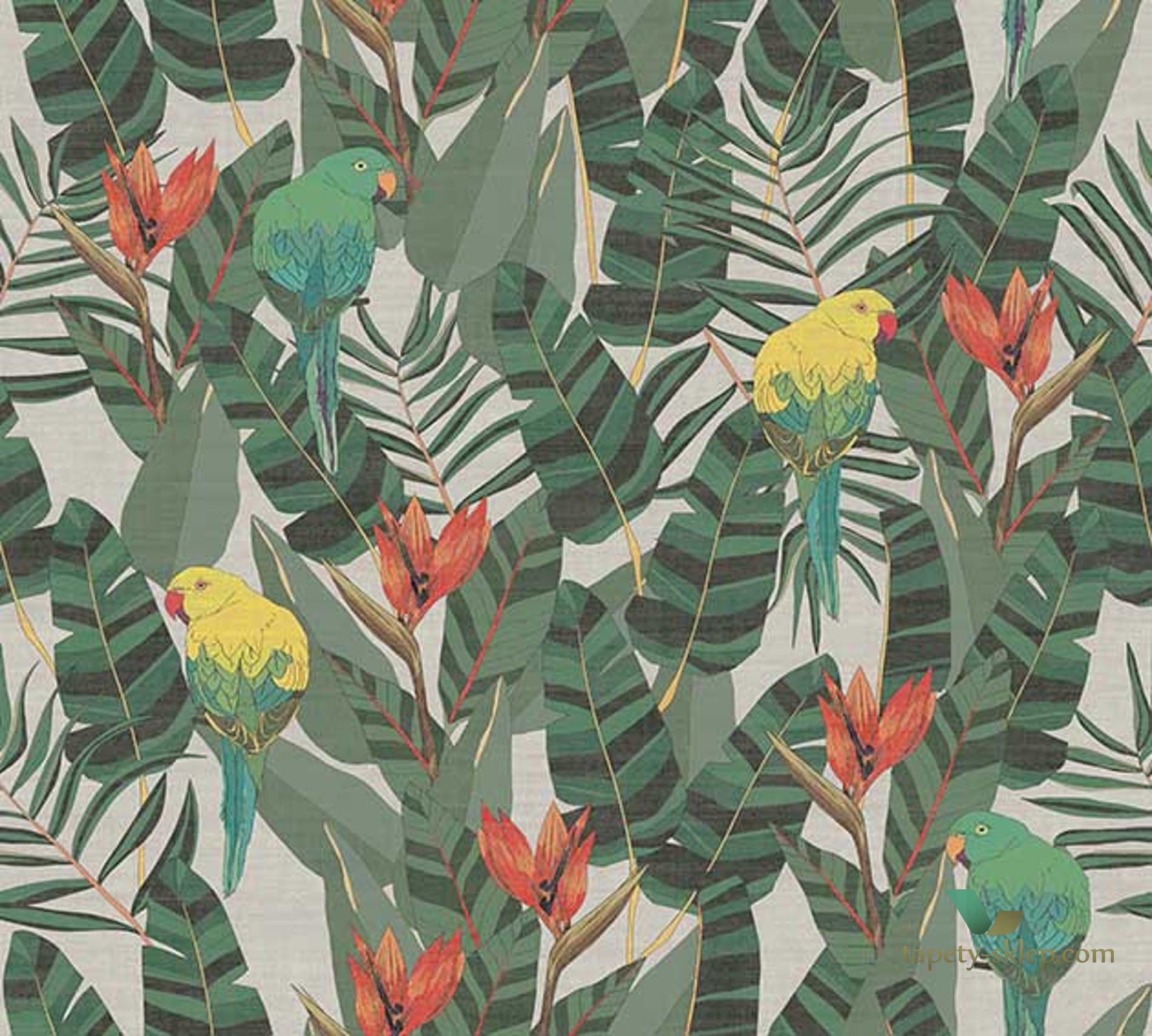Tapeta Papugi Arte 13570 Arcadia Curiosa
