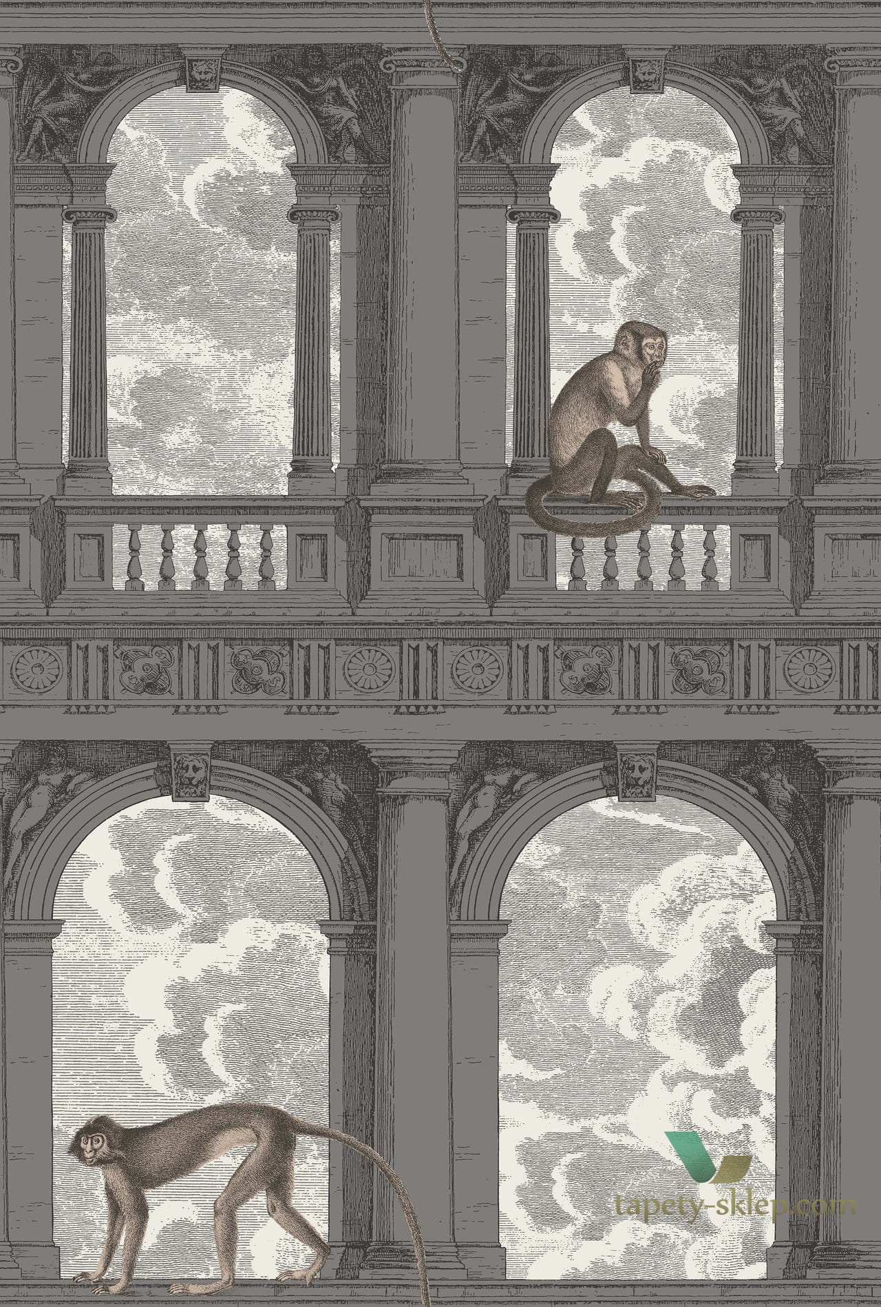 Tapeta Architektoniczna Małpa i Chmury Cole&Son Procuratie con Vista 114/8016 Fornasetti Senza Tempo