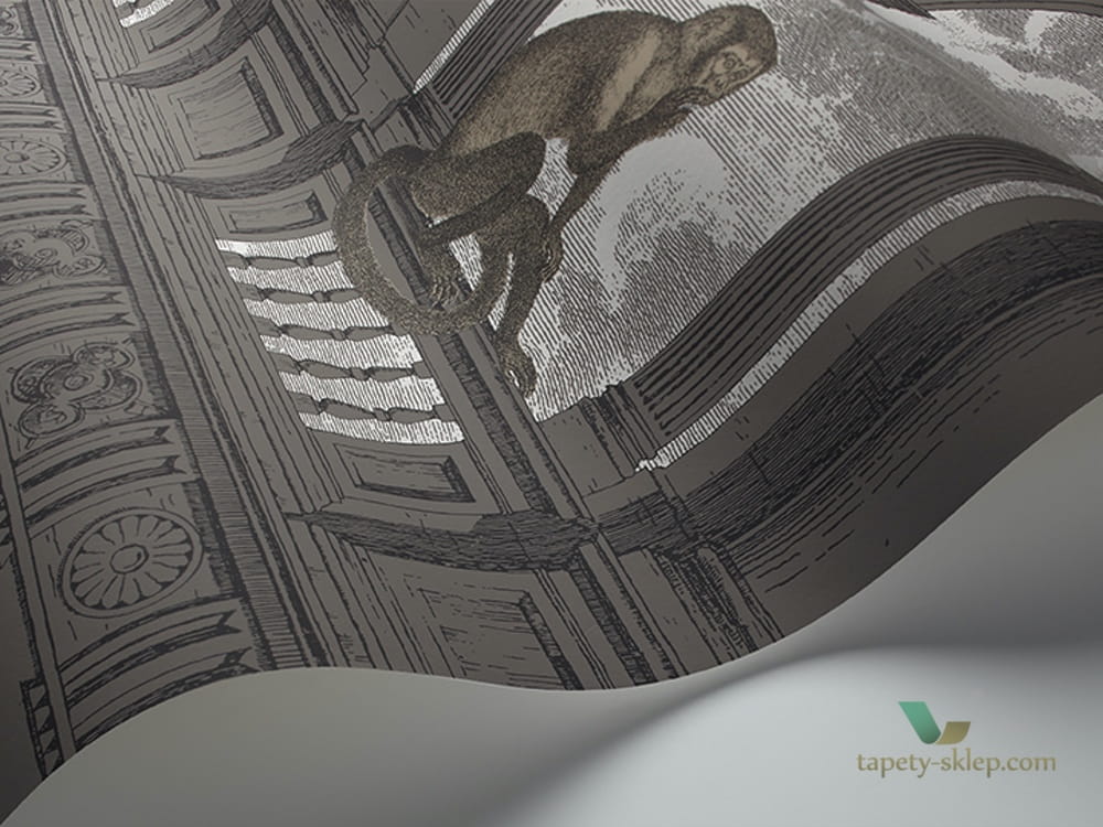 Tapeta Architektoniczna Małpa i Chmury Cole&Son Procuratie con Vista 114/8016 Fornasetti Senza Tempo