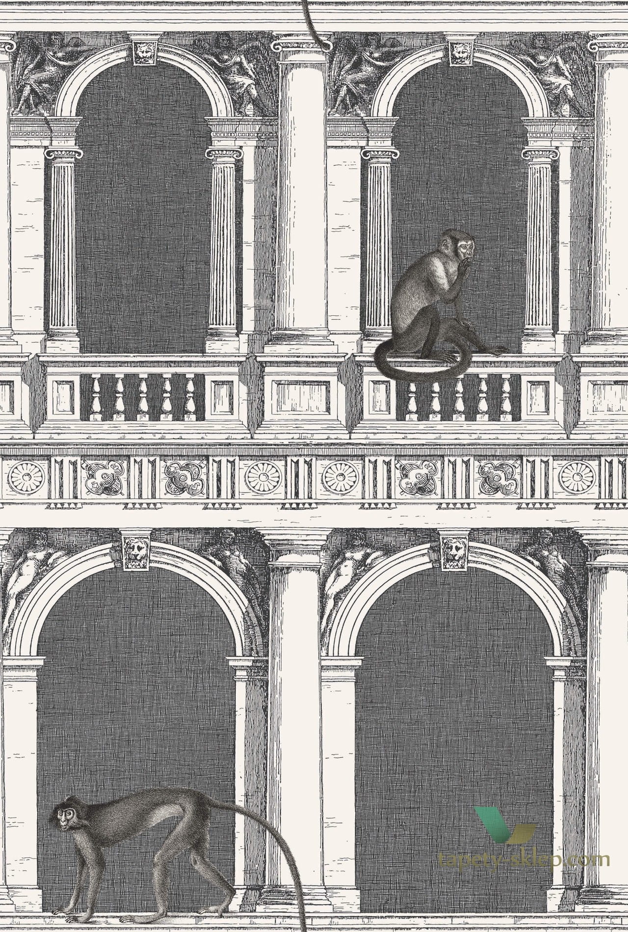 Tapeta Architektoniczna Małpy Cole&Son Procuratie e Scimmie 114/21041 Fornasetti Senza Tempo