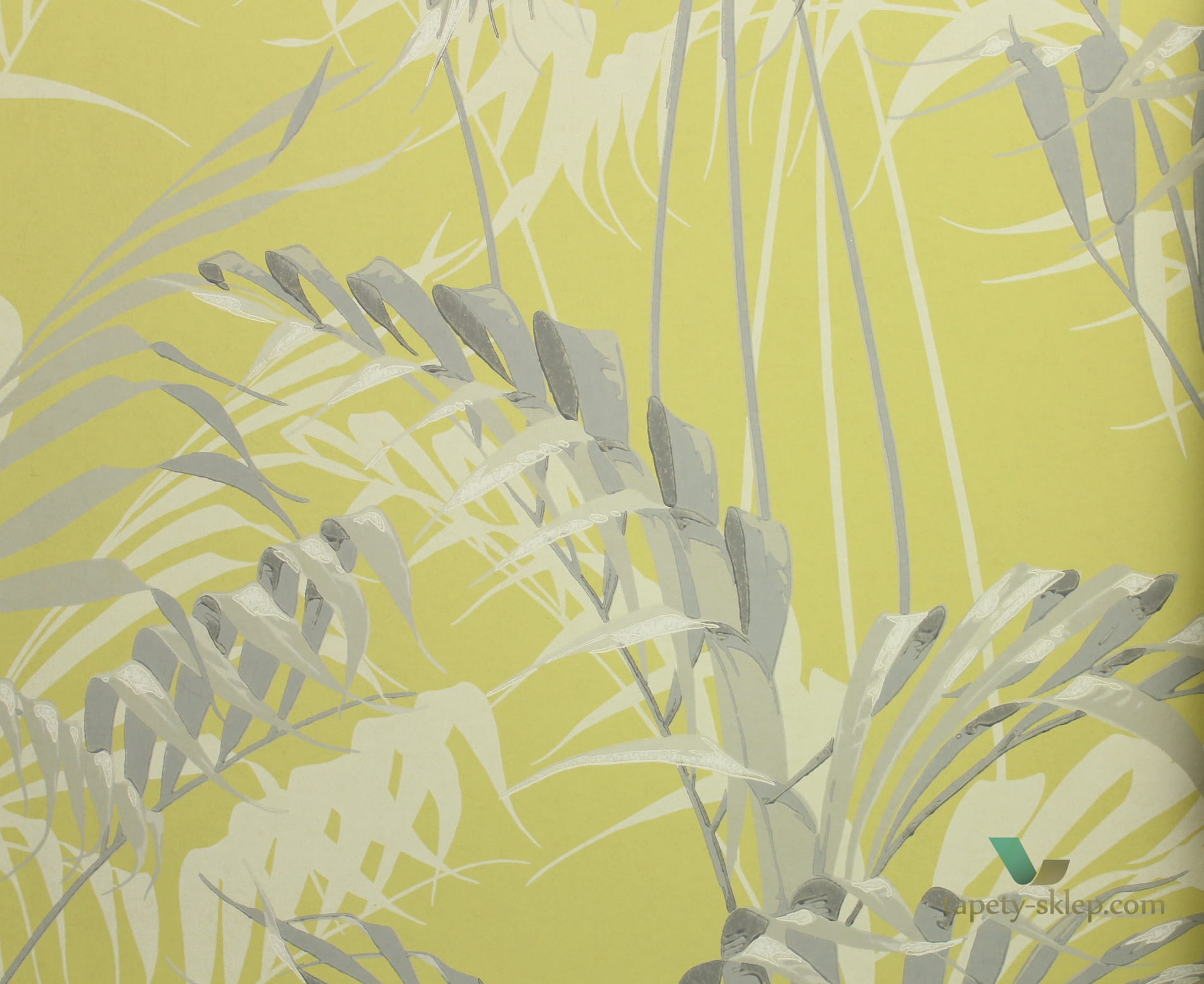 Tapeta palmowe liście Sanderson 216642 House Palm The Glasshouse