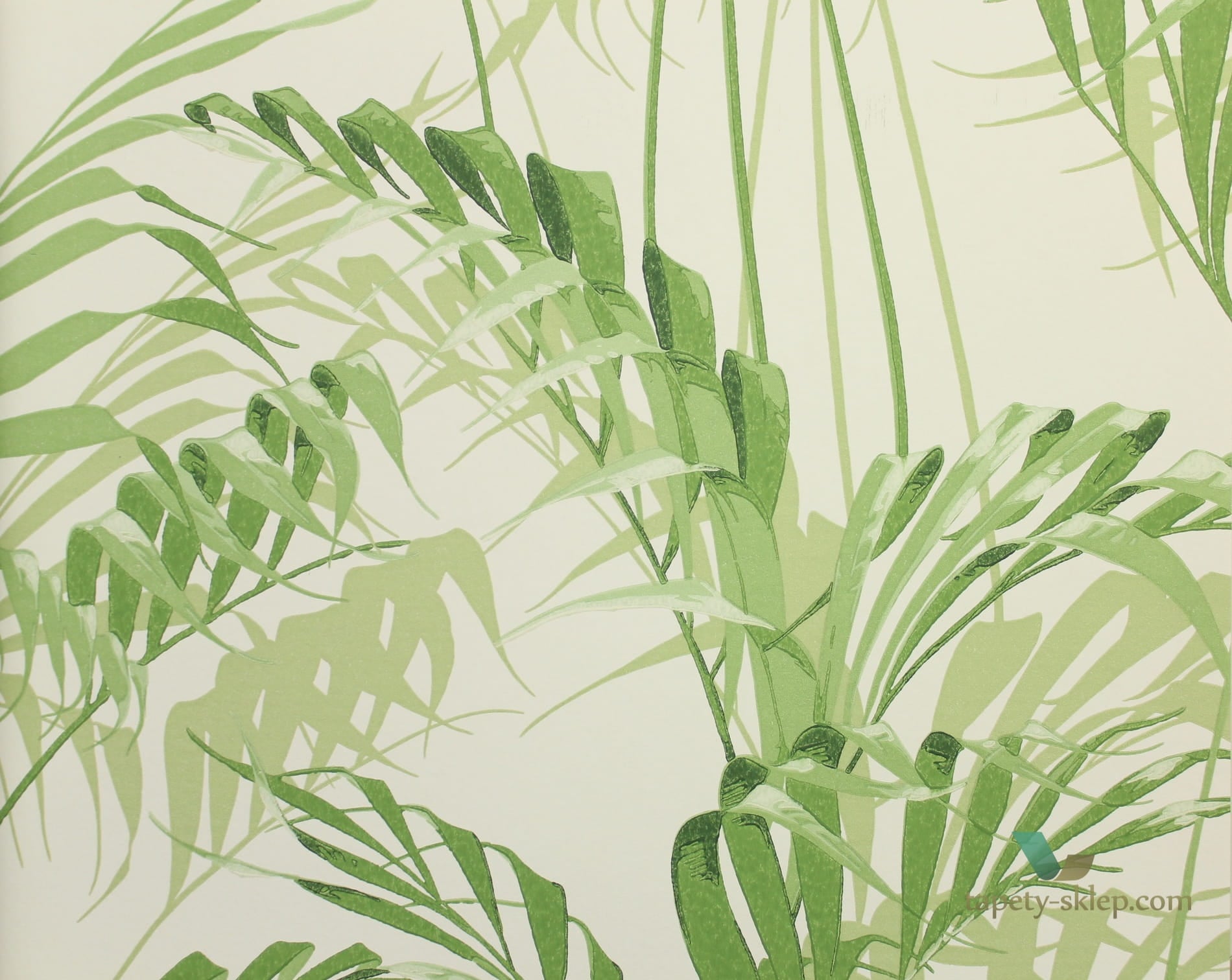 Tapeta palmowe liście Sanderson 216643 House Palm The Glasshouse