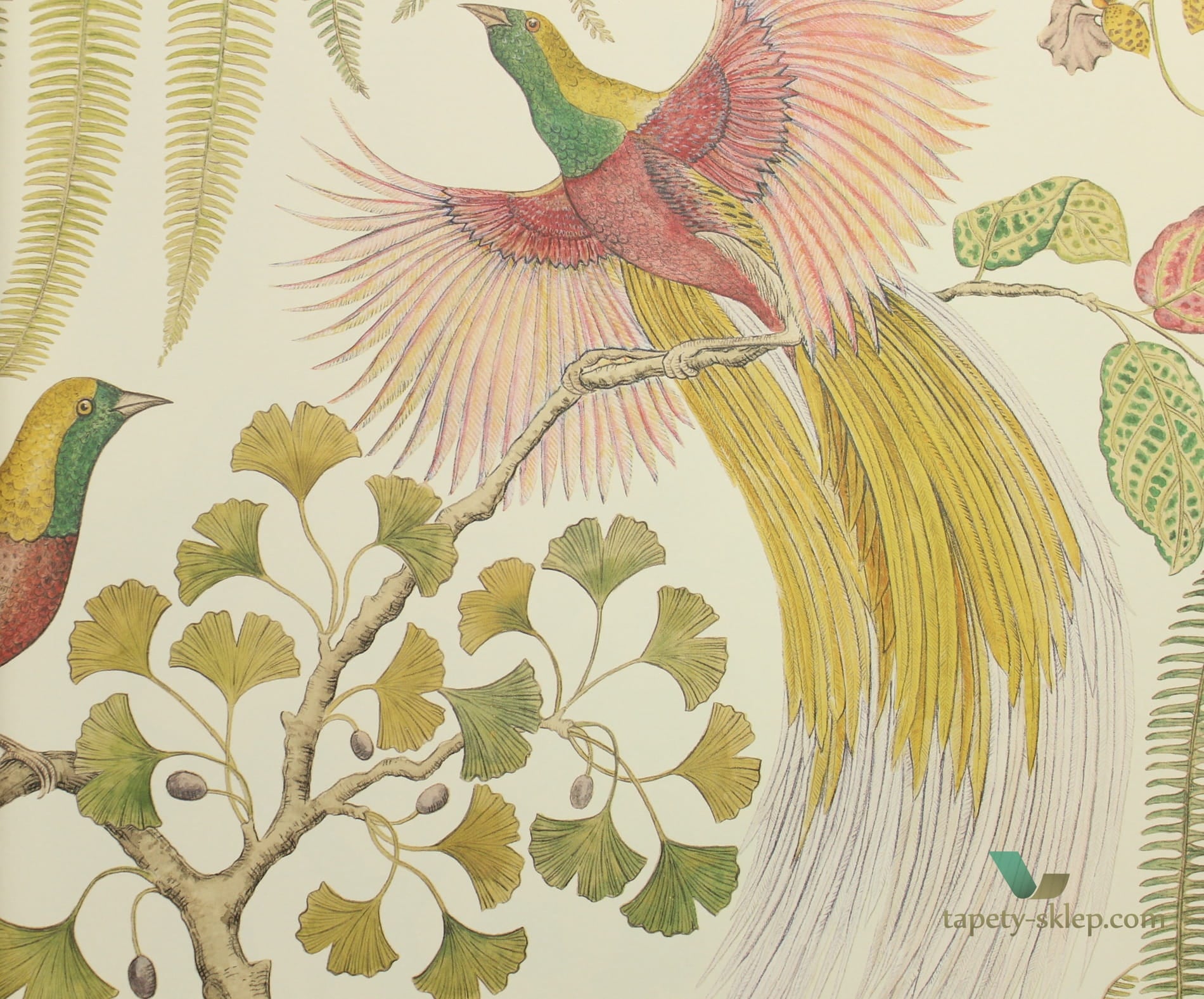 Tapeta ptaki i rośliny Sanderson 216653 Bird of Paradise The Glasshouse