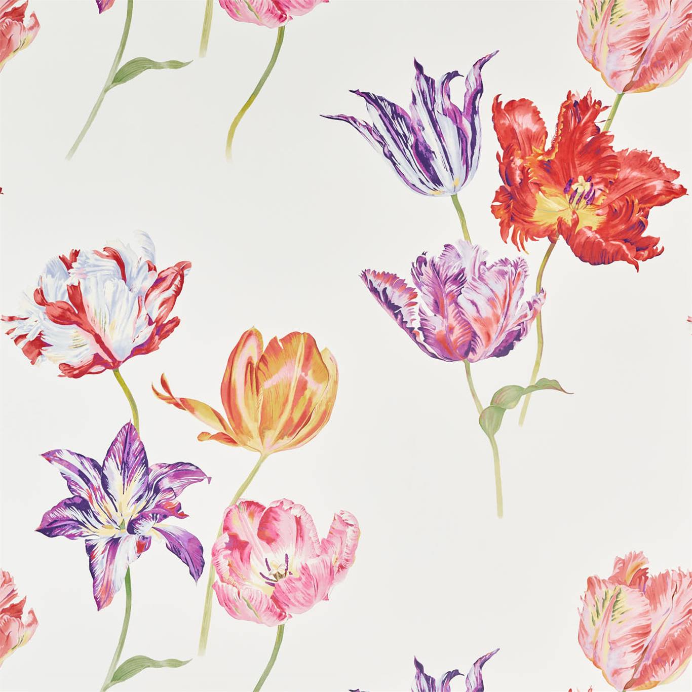 Tapeta tulipany Sanderson 216666 Tulipomania The Glasshouse