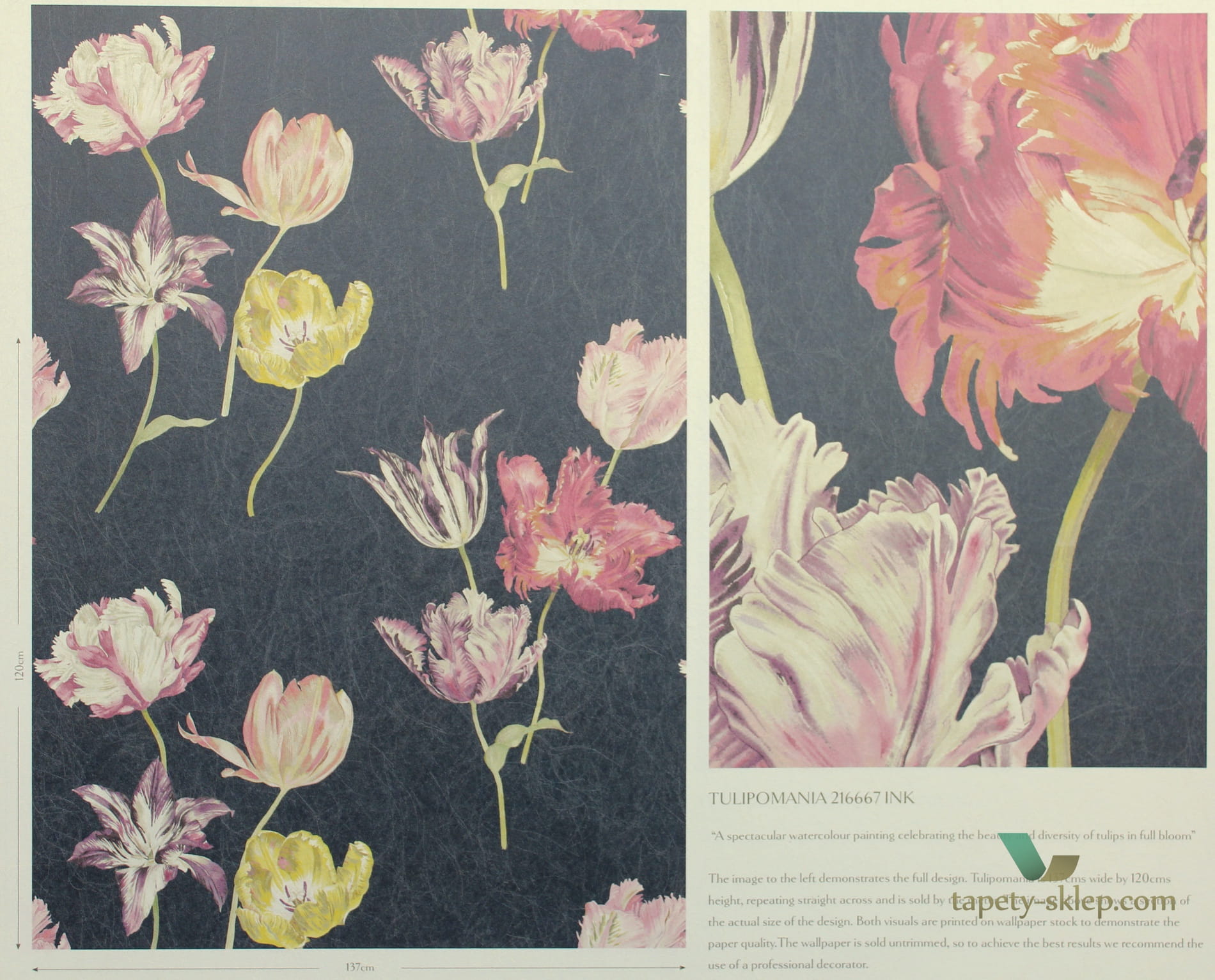 Tapeta tulipany Sanderson 216667 Tulipomania The Glasshouse