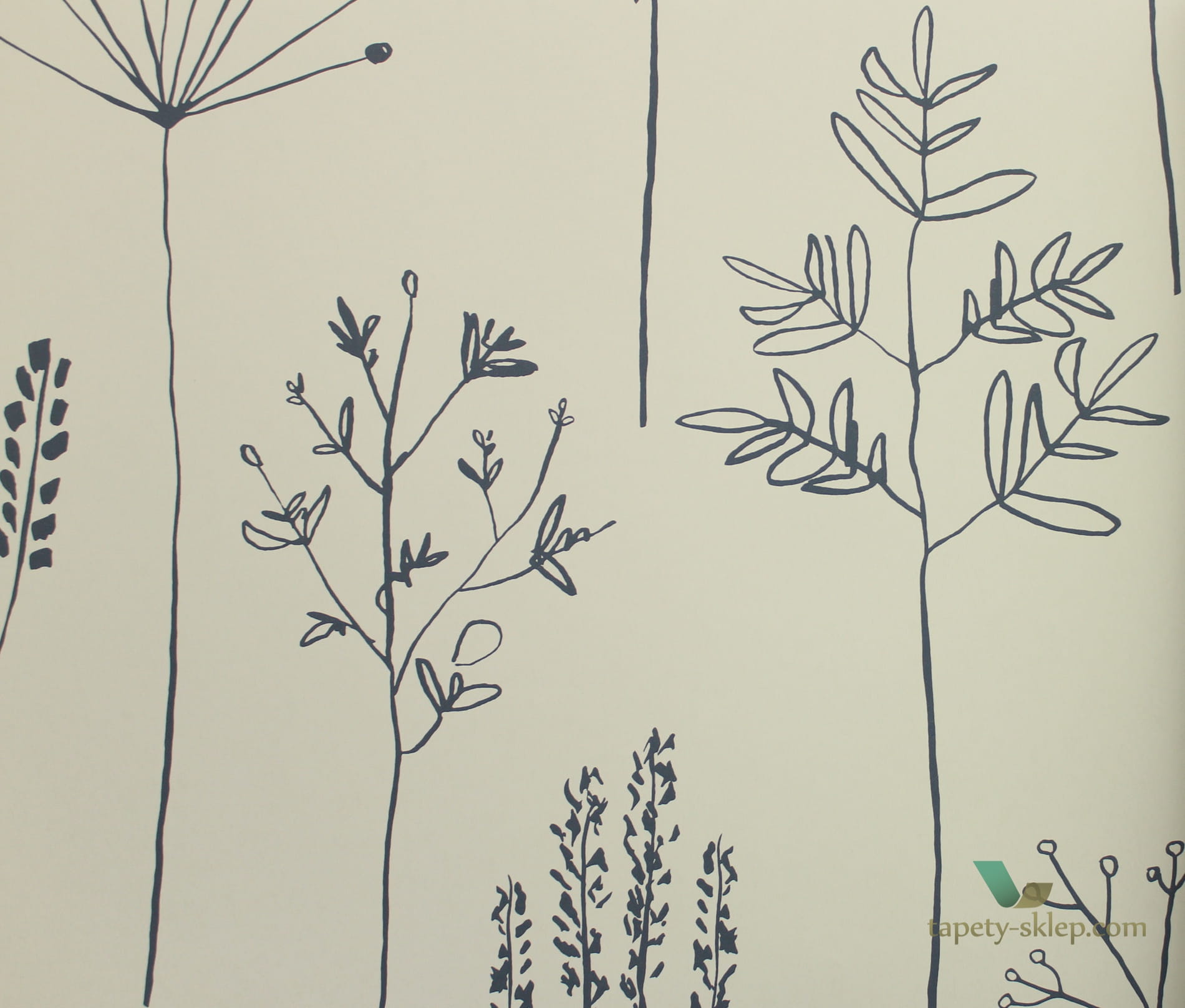 Tapeta łąka Scion 112019 Stipa Zanzibar
