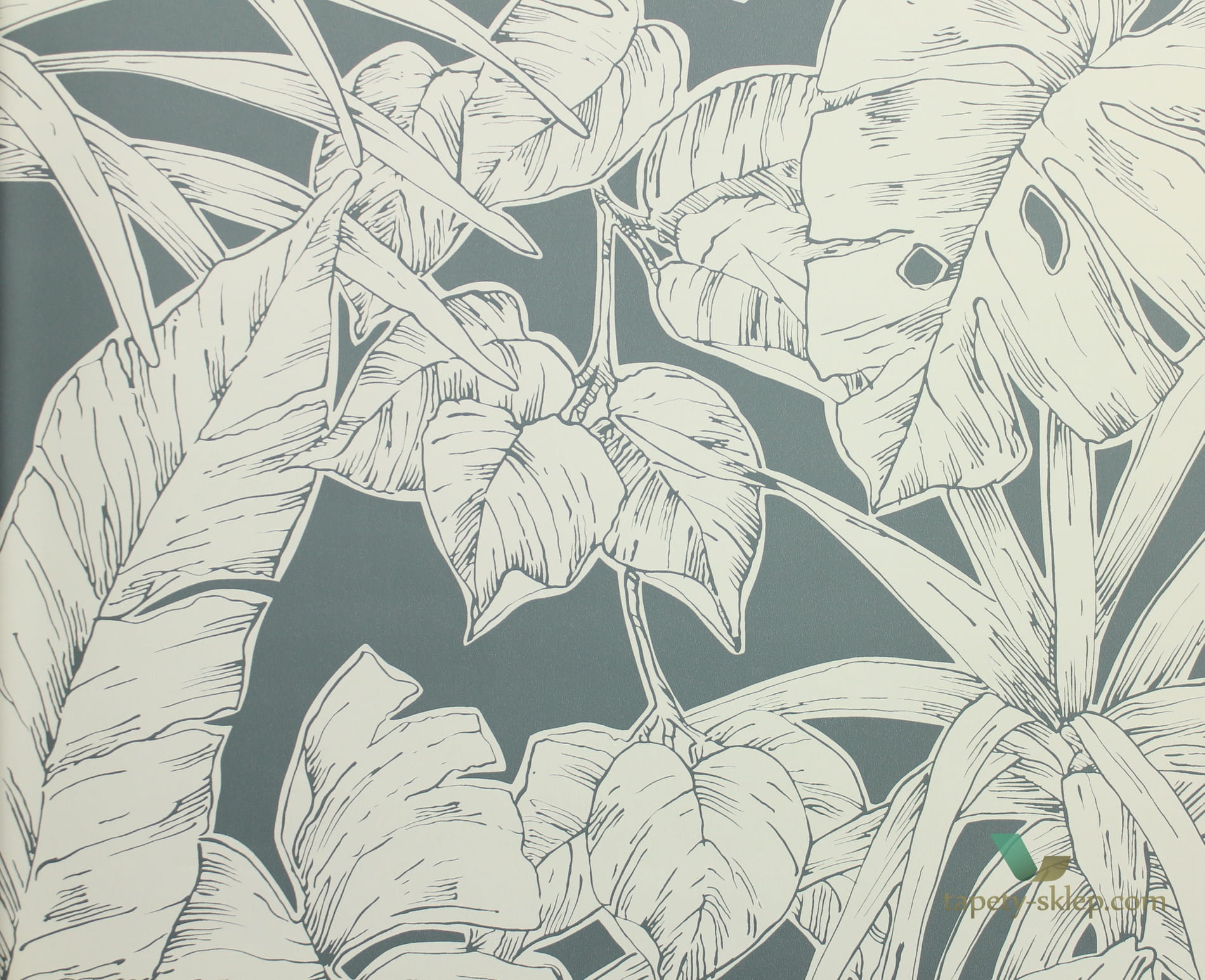 Tapeta tropikalne liście Scion 112023 Parlour Palm Zanzibar
