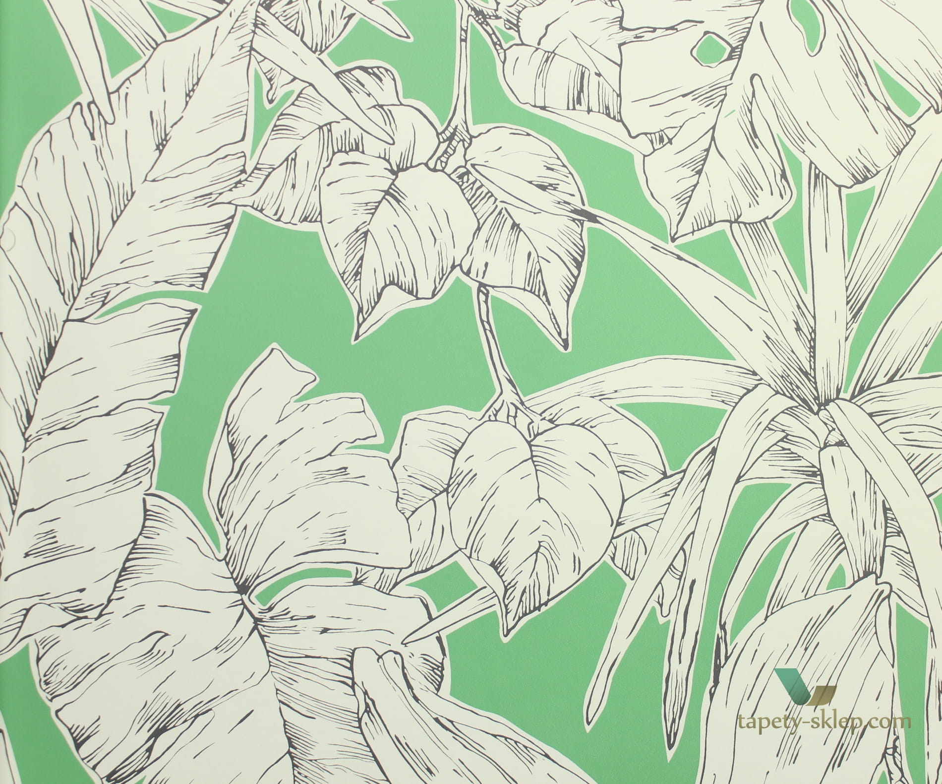 Tapeta tropikalne liście Scion 112024 Parlour Palm Zanzibar