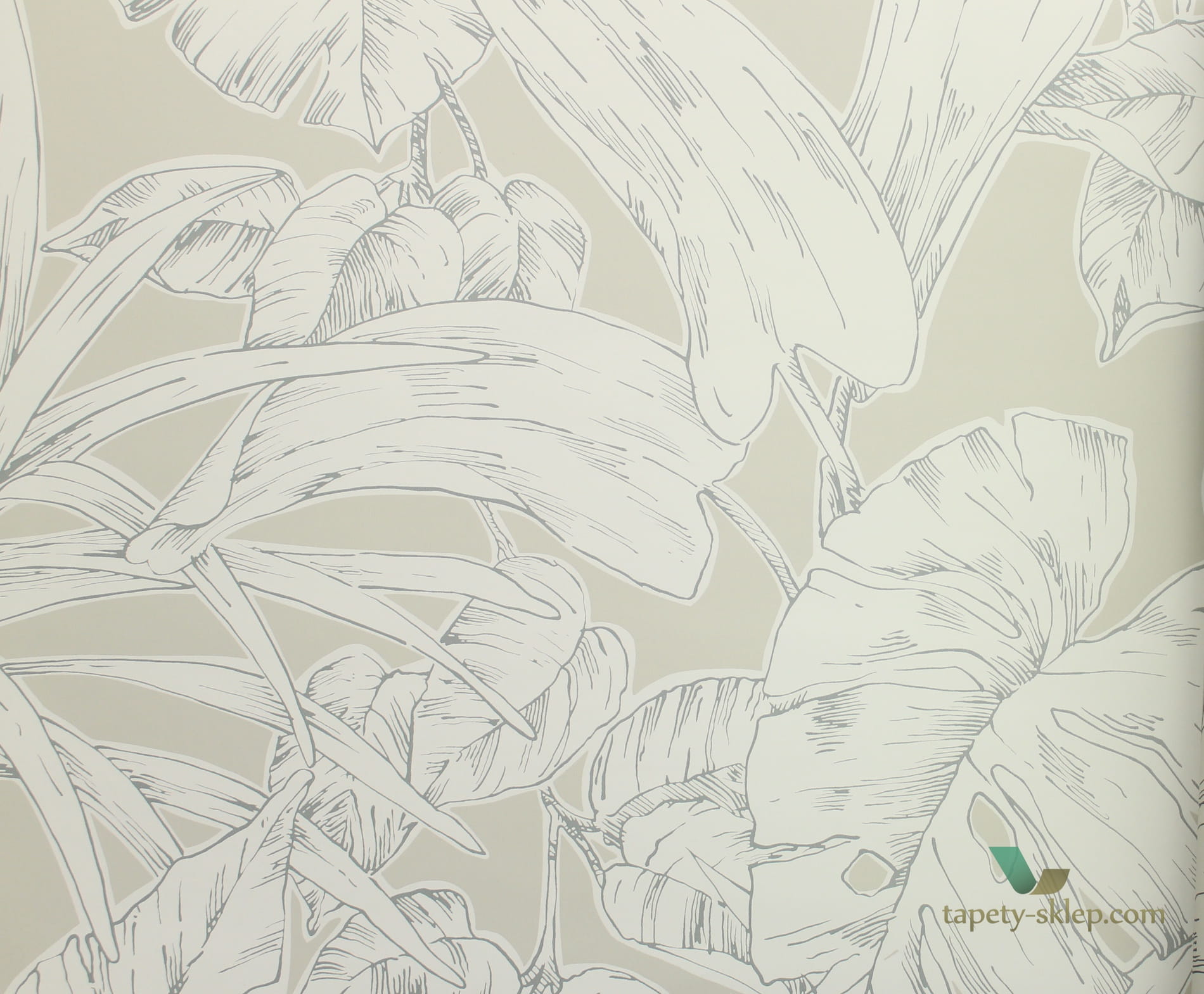 Tapeta tropikalne liście Scion 112026 Parlour Palm Zanzibar