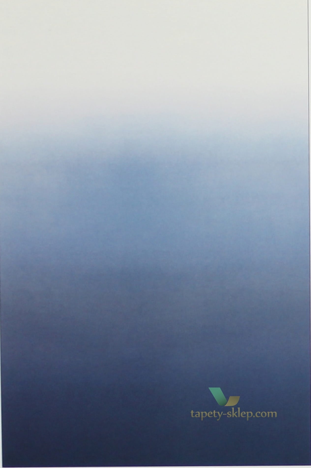 Fototapeta P600/09 Designers Guild Contarini