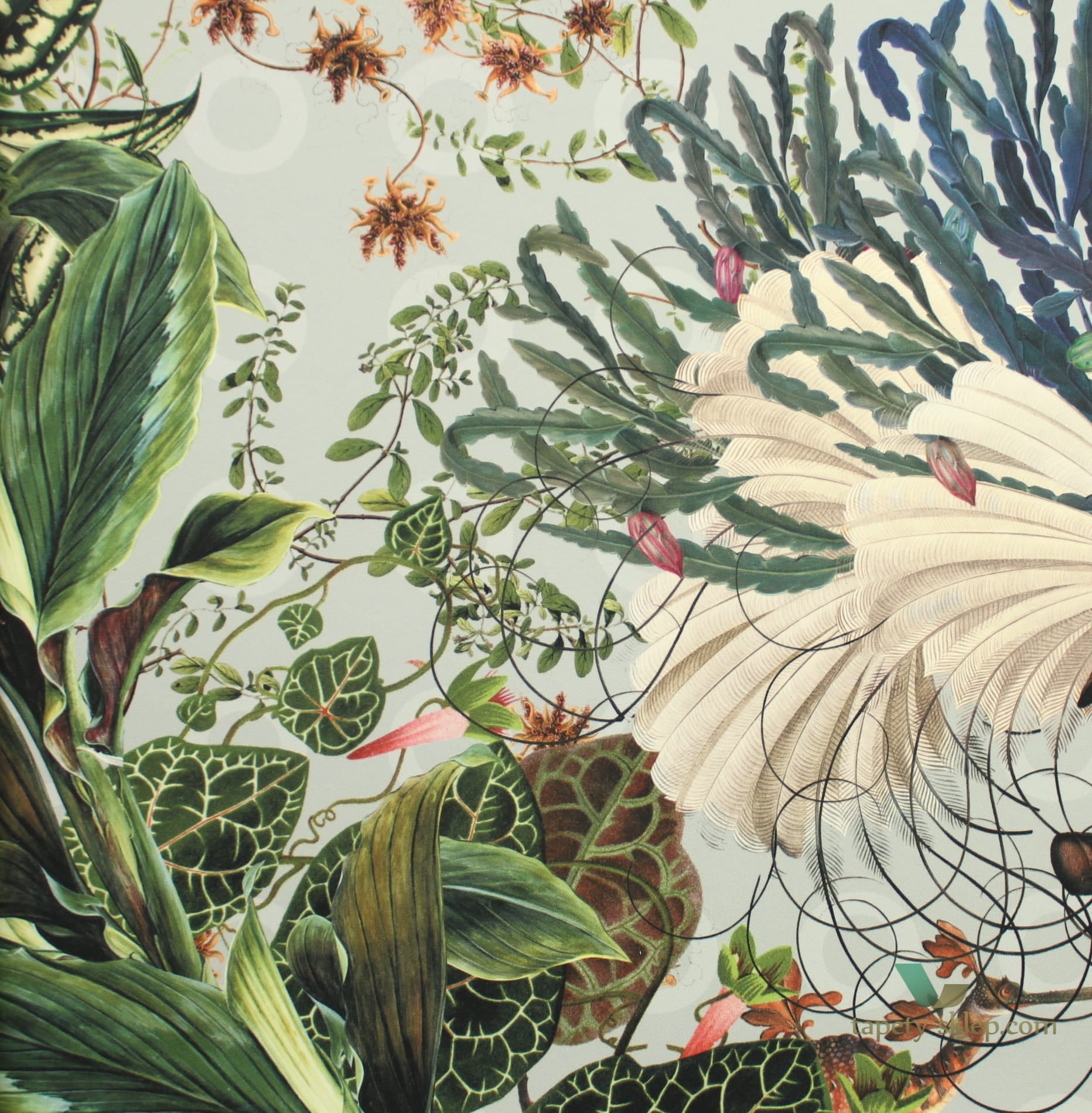 Tapeta Zwierzęta Arte Moooi MO2073 Menagerie of Extinct Animals Cloud
