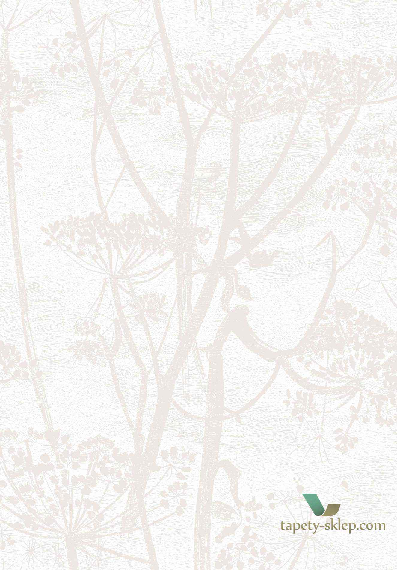 Tapeta Kwiaty Kopru Cole&Son Cow Parsley 95/9052 The Conptemporary Collection