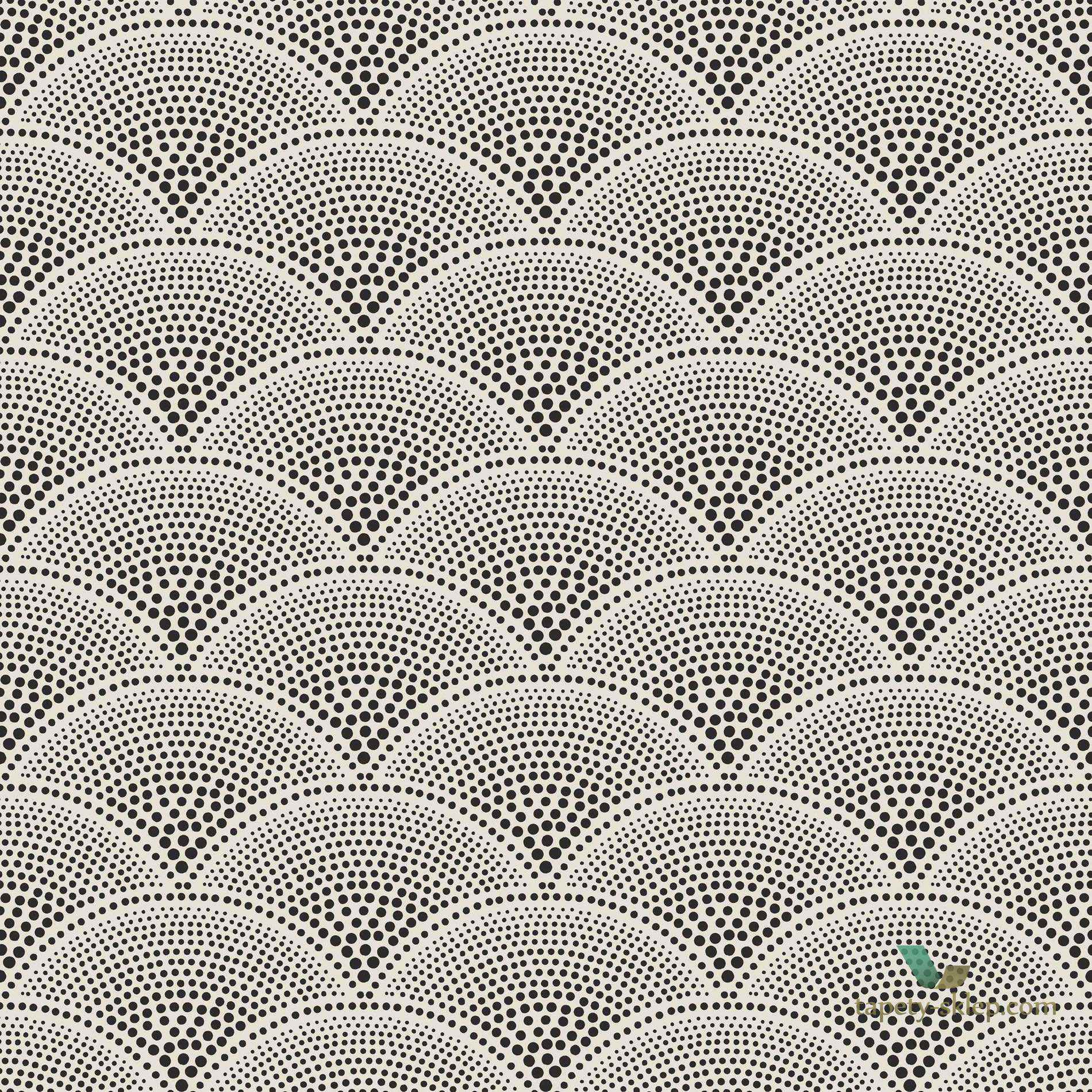 Tapeta Z Wachlarzami Cole&Son Feather Fan 89/4014 The Conptemporary Collection