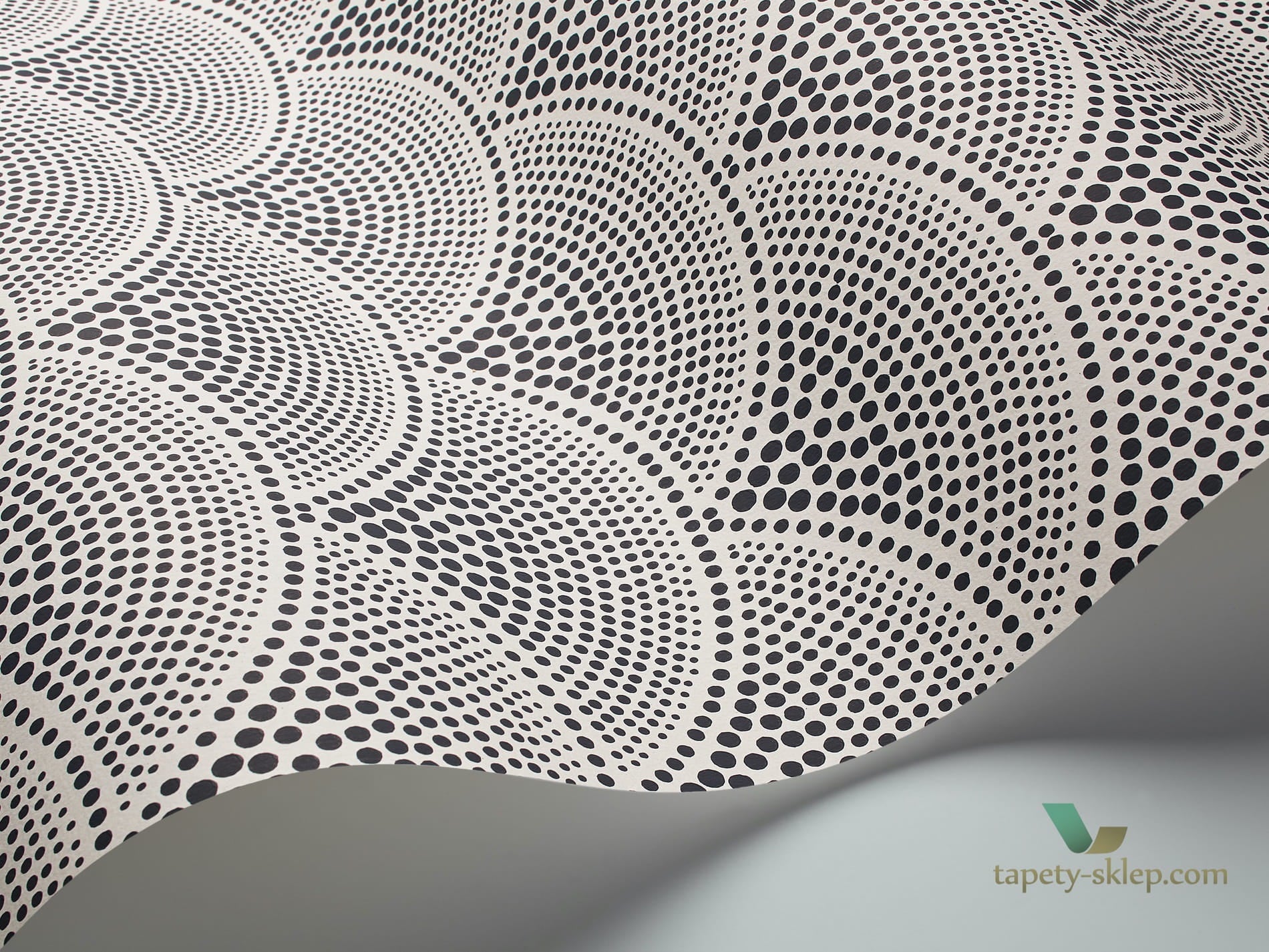 Tapeta Z Wachlarzami Cole&Son Feather Fan 89/4014 The Conptemporary Collection