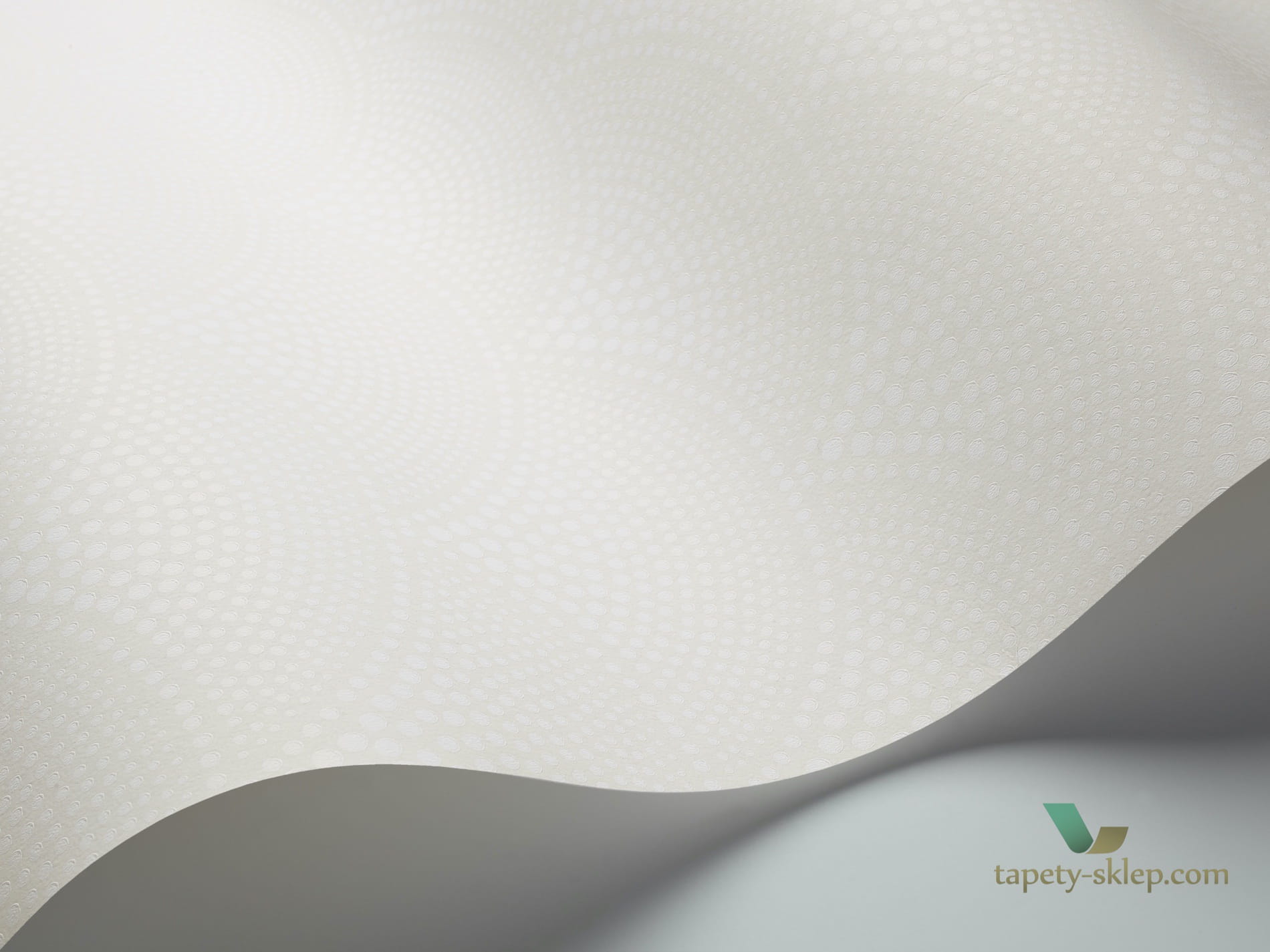 Tapeta Z Wachlarzami Cole&Son Feather Fan 89/4015 The Conptemporary Collection