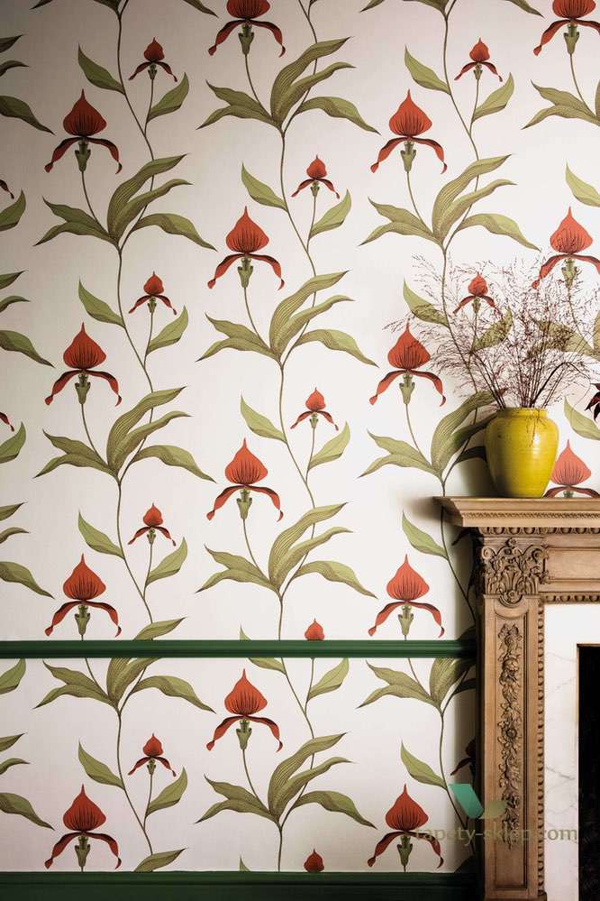 Tapeta Kwiaty Orchidei Cole&Son Orchid 95/10054 The Conptemporary Collection
