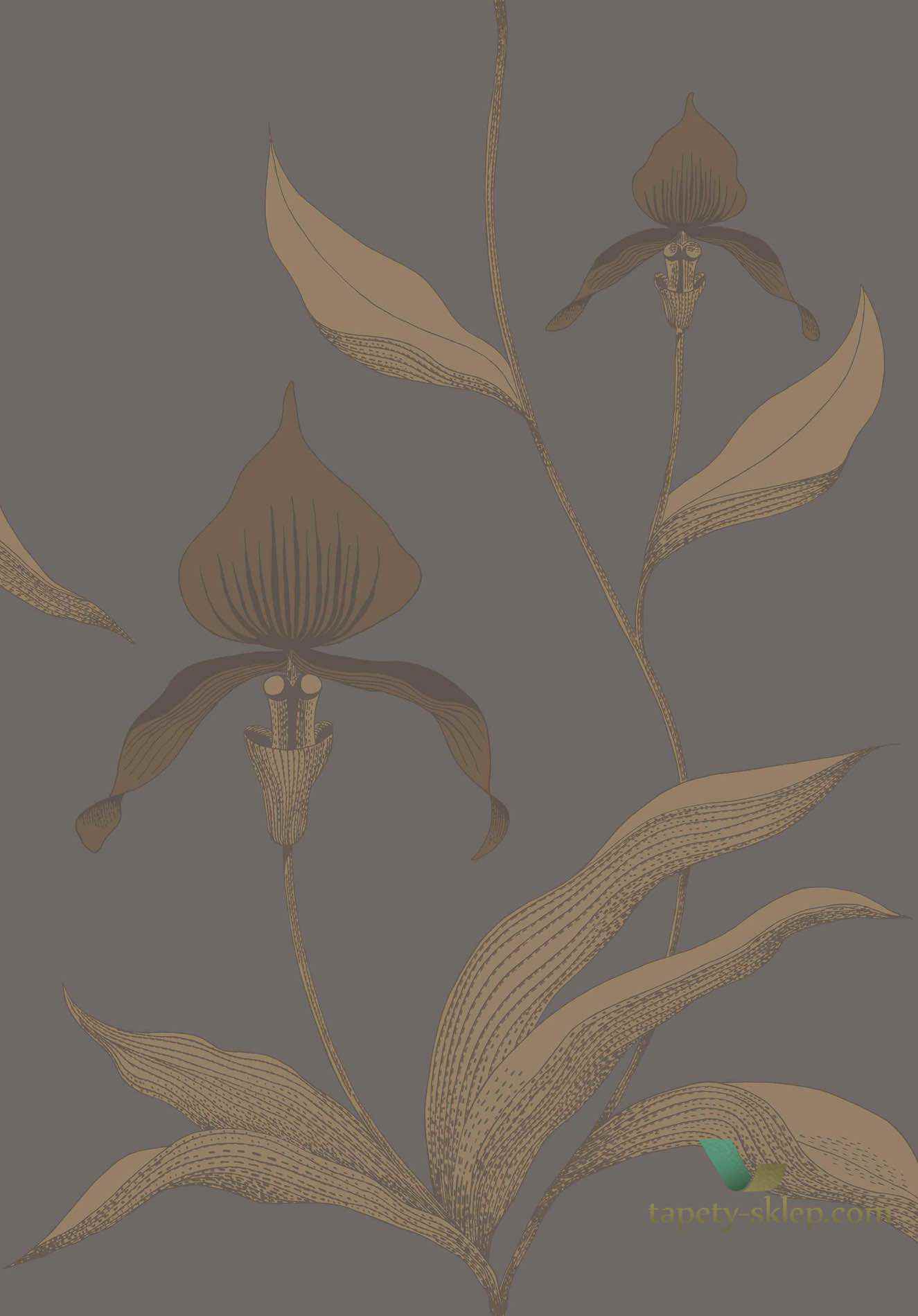 Tapeta Kwiaty Orchidei Cole&Son Orchid 95/10056 The Conptemporary Collection
