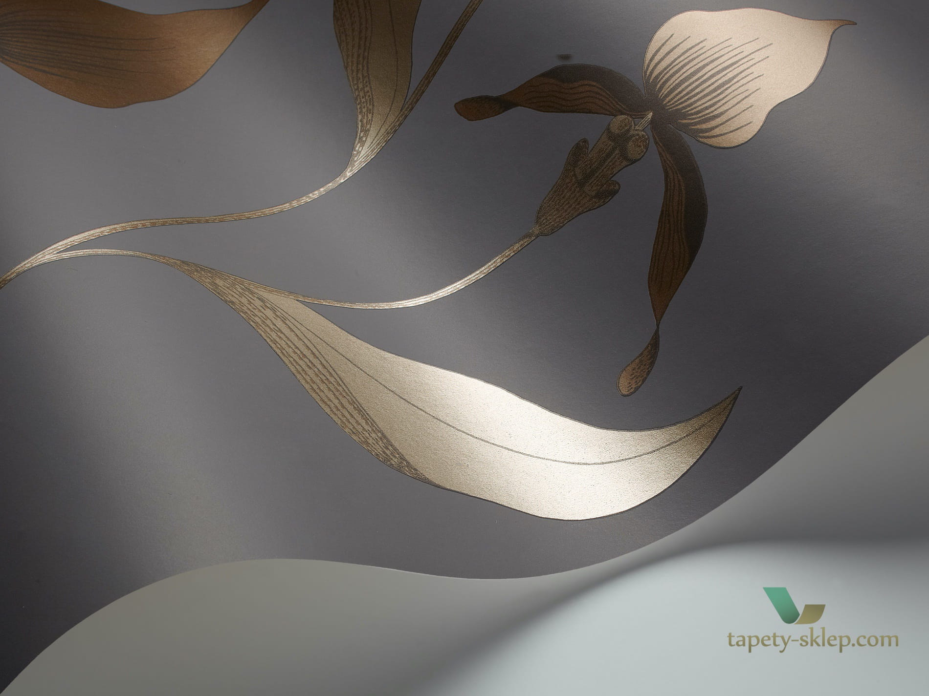 Tapeta Kwiaty Orchidei Cole&Son Orchid 95/10056 The Conptemporary Collection
