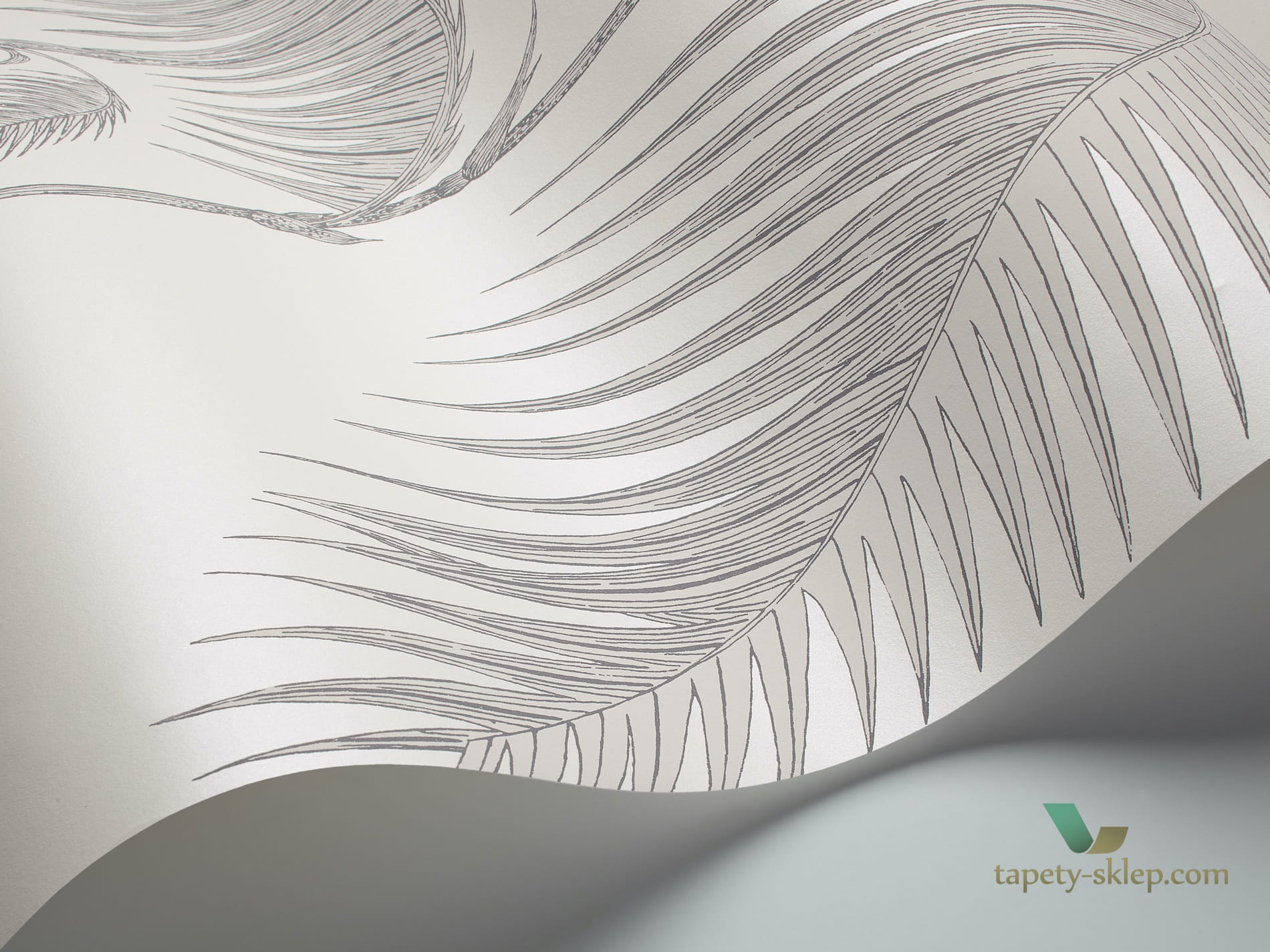 Tapeta Tropikalne Liście Cole&Son Palm Leaves 95/1008 The Conptemporary Collection