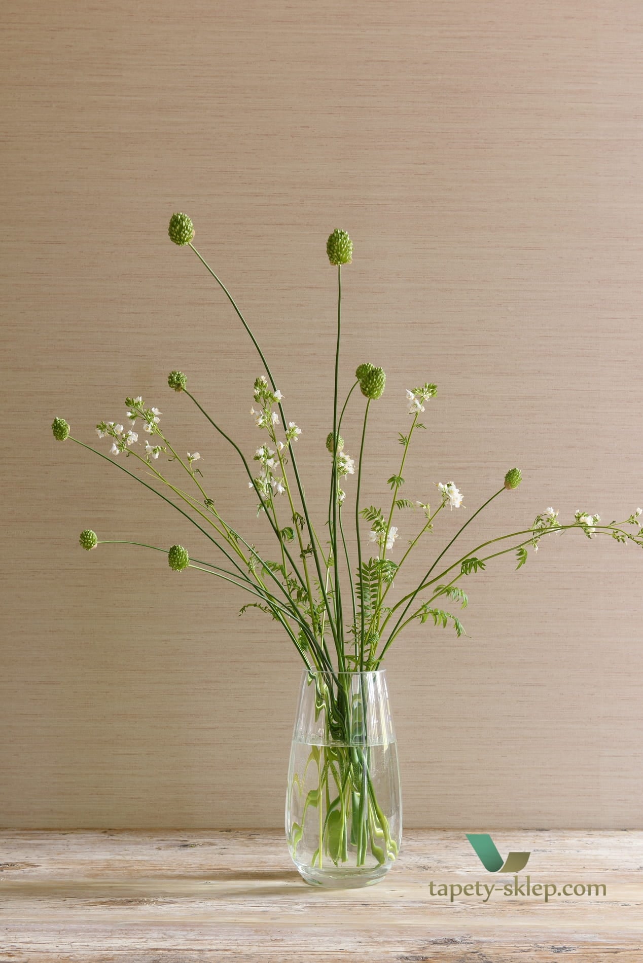 Tapeta Colefax and Fowler 07179/11 Sandrine Textured Wallpapers
