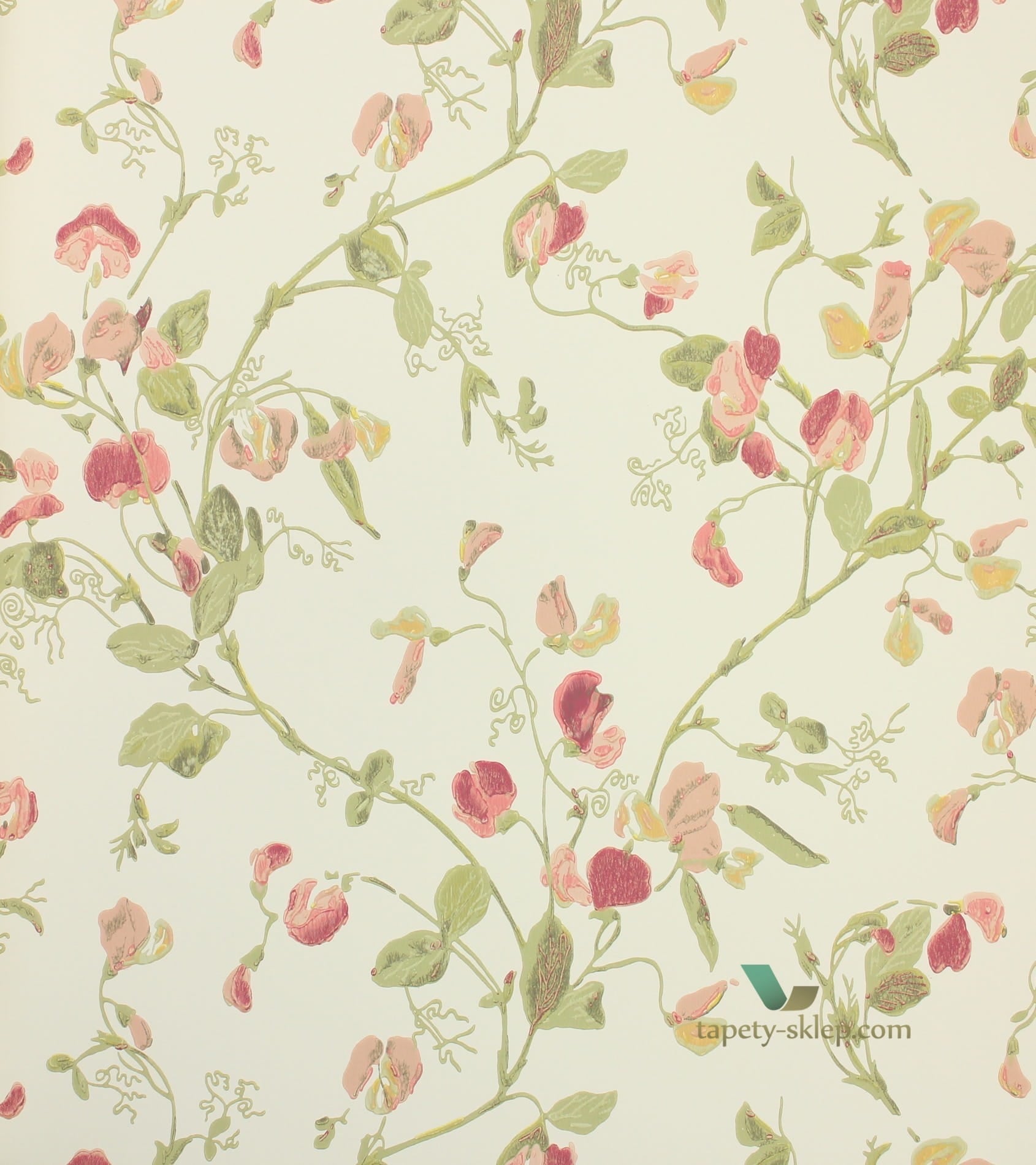 Tapeta 100/6028 Cole & Son Archive Anthology Sweet Pea