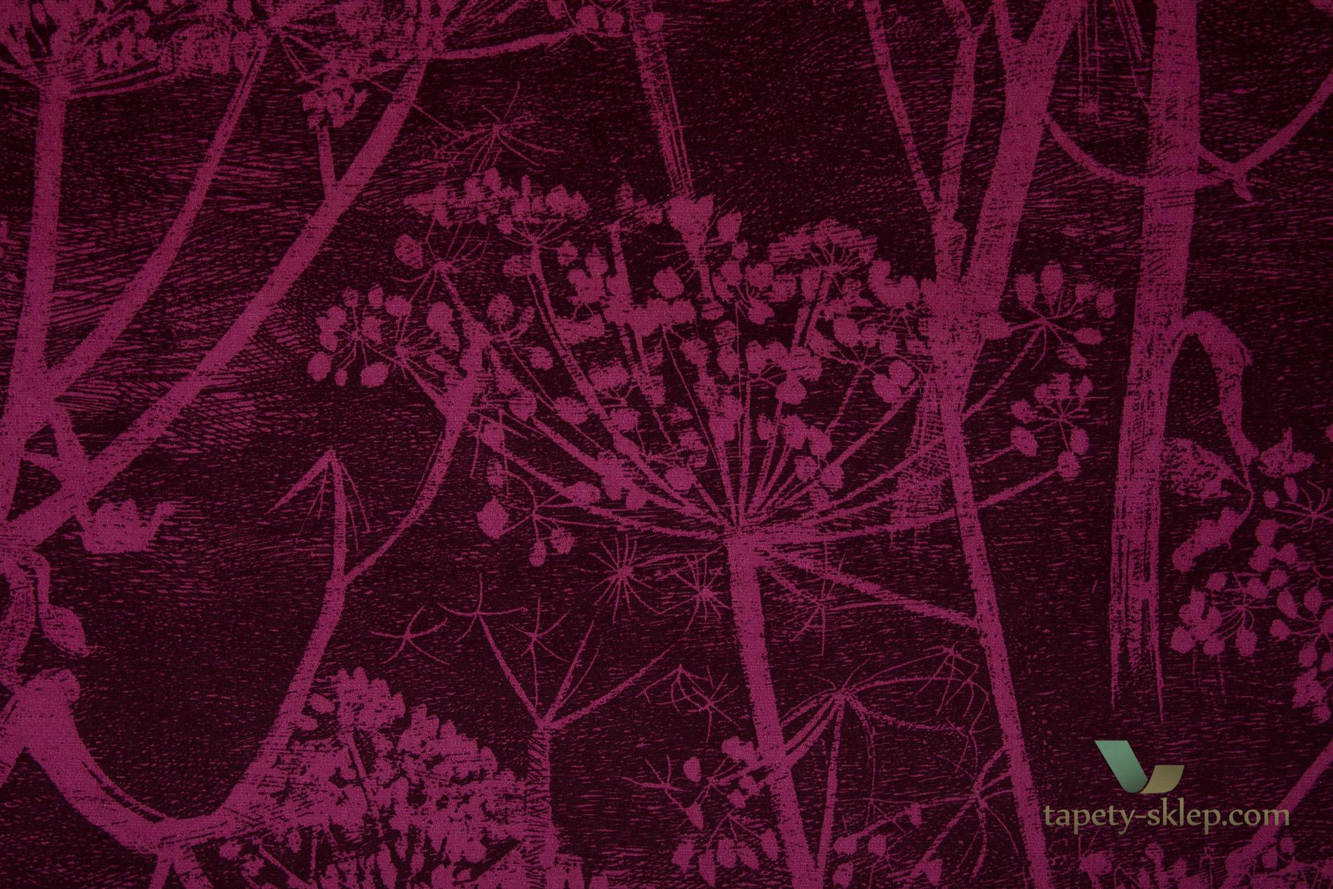 Tkanina kwiaty kopru welur Cole&Son Cow Parsley Velvet F111/5017 The Contemporary Collection