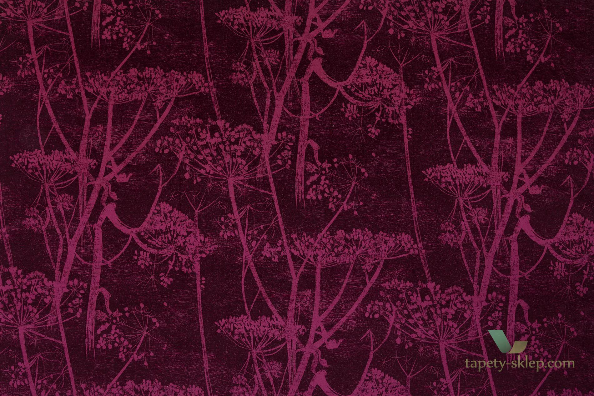 Tkanina kwiaty kopru welur Cole&Son Cow Parsley Velvet F111/5017 The Contemporary Collection